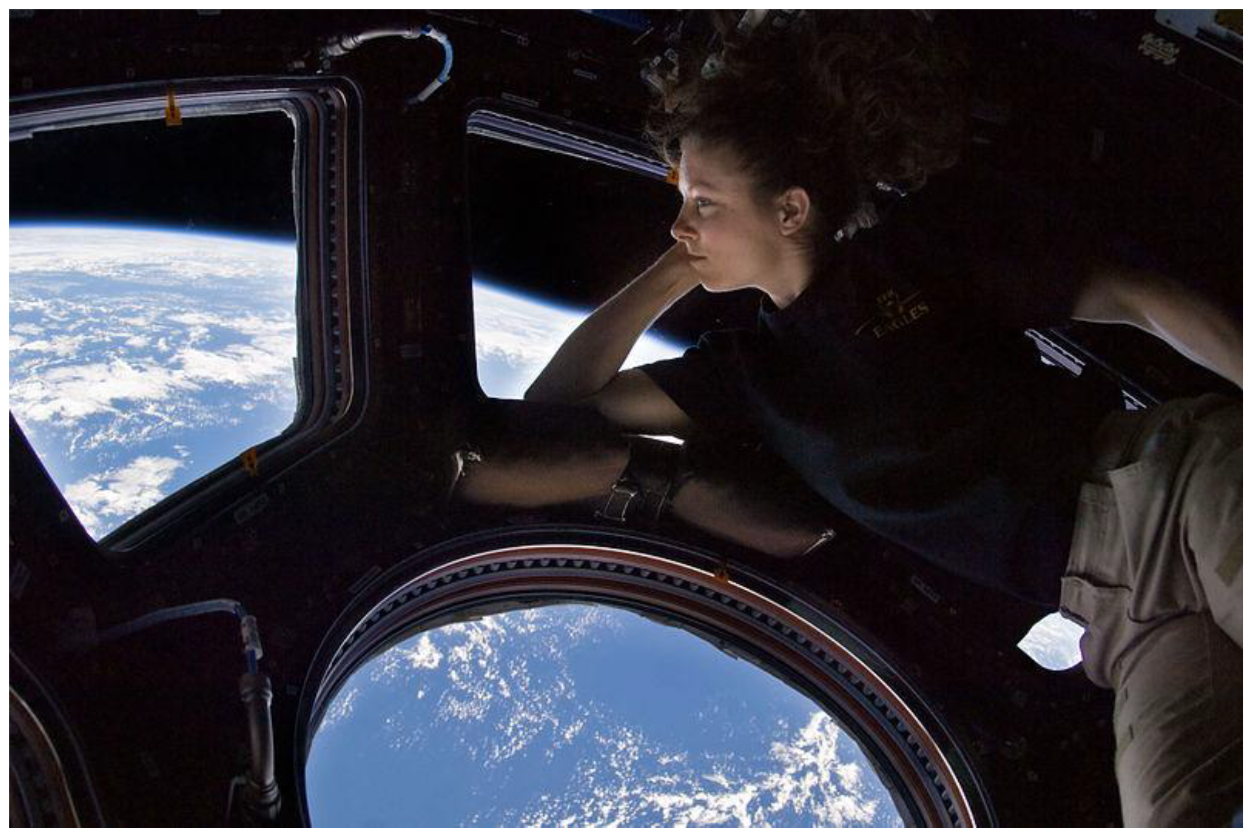 Preprints 149474 g009