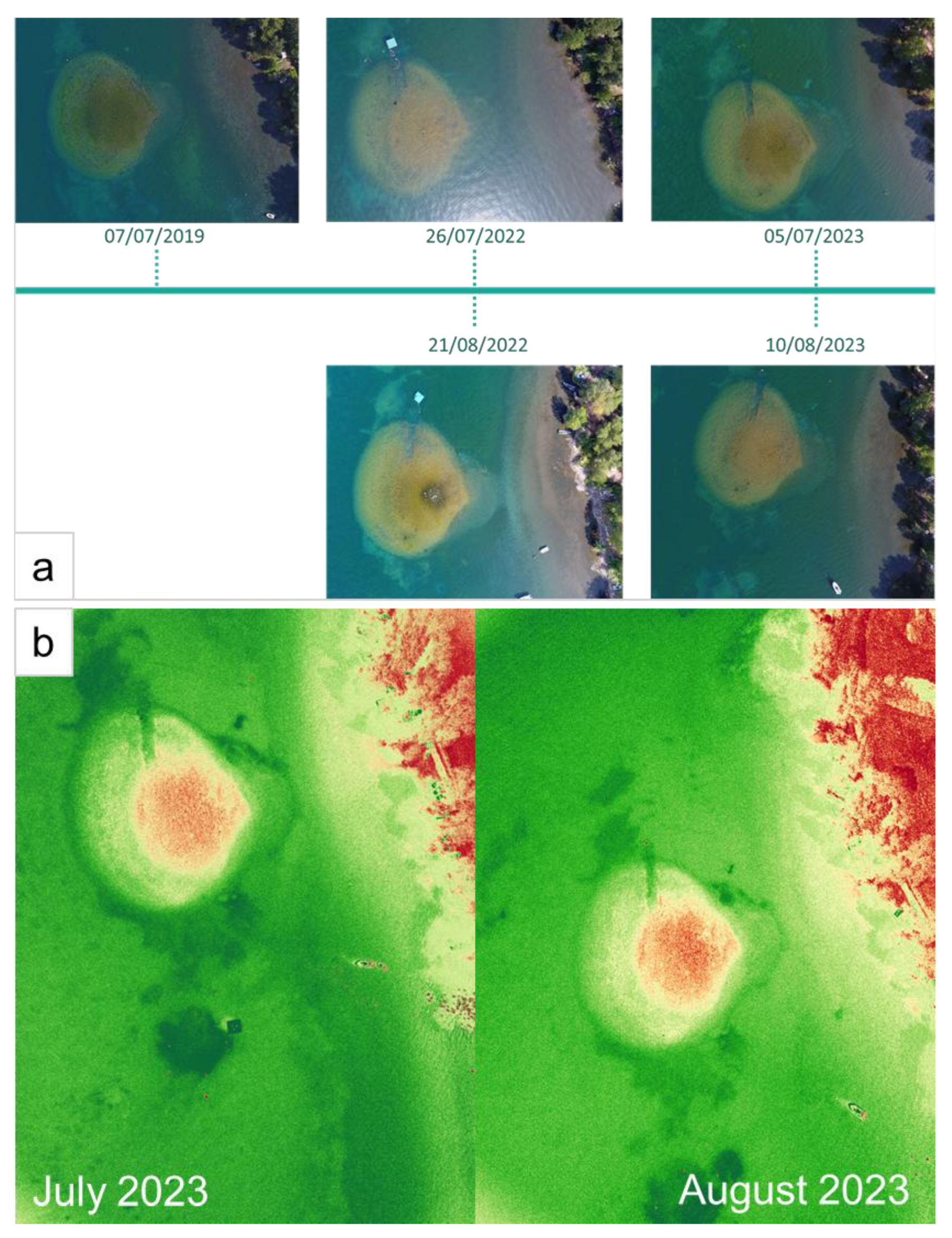 Preprints 168577 g005