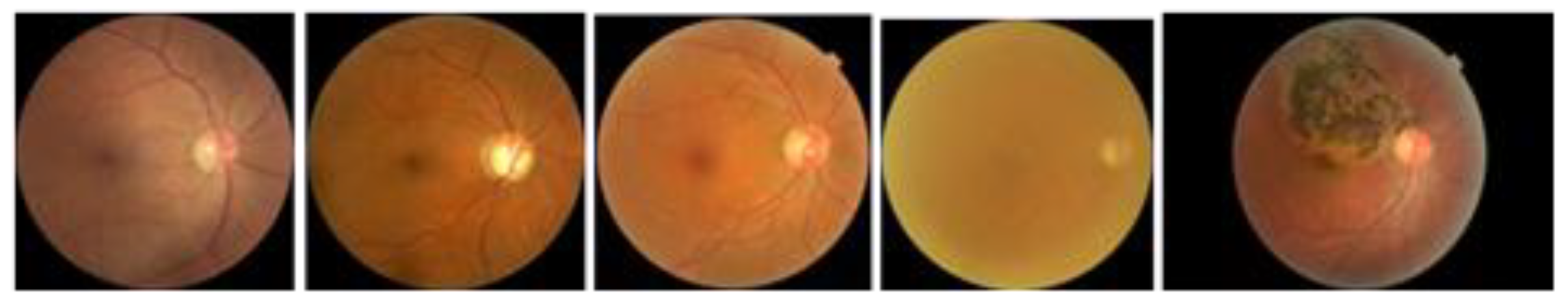 Preprints 148952 g002