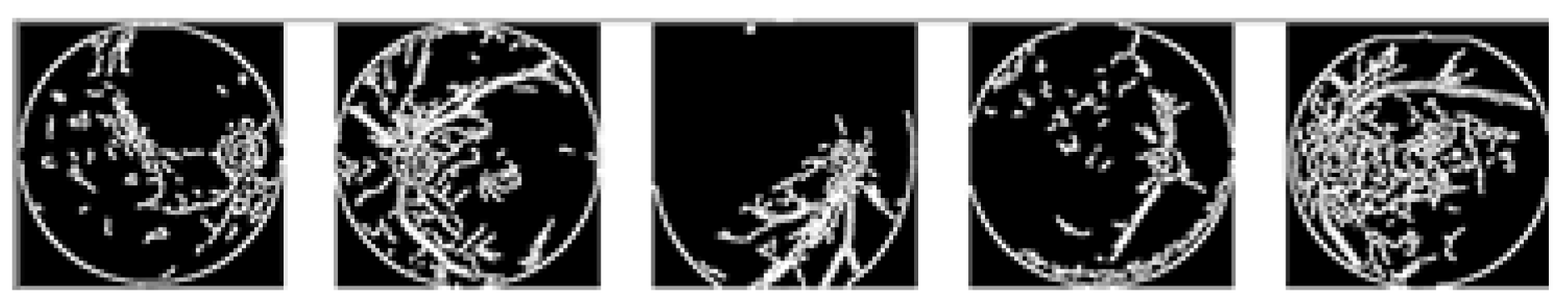 Preprints 148952 g003