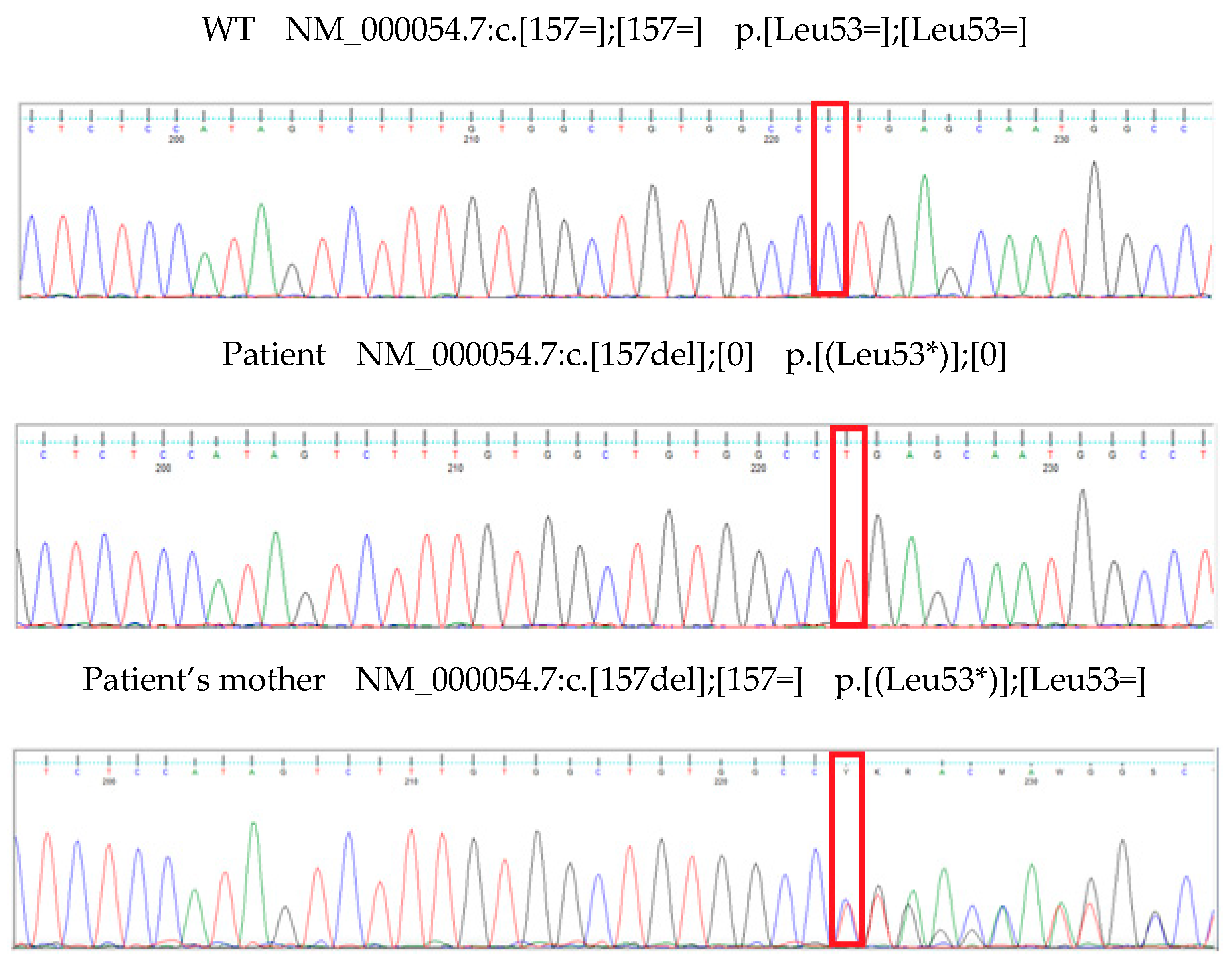 Preprints 169948 g001