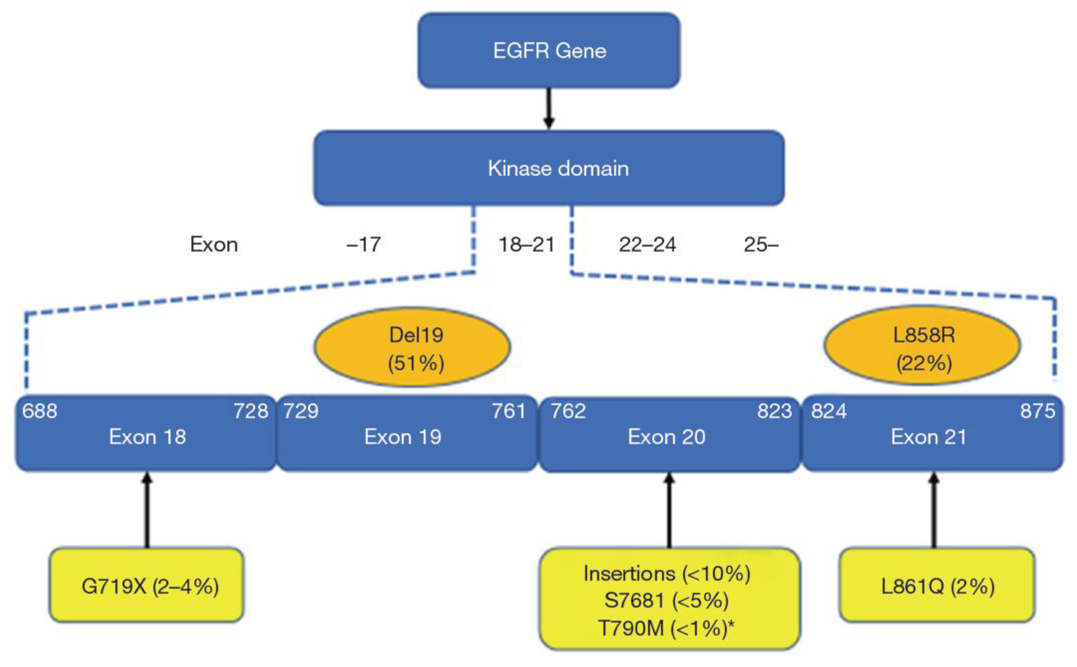 Preprints 183682 g001