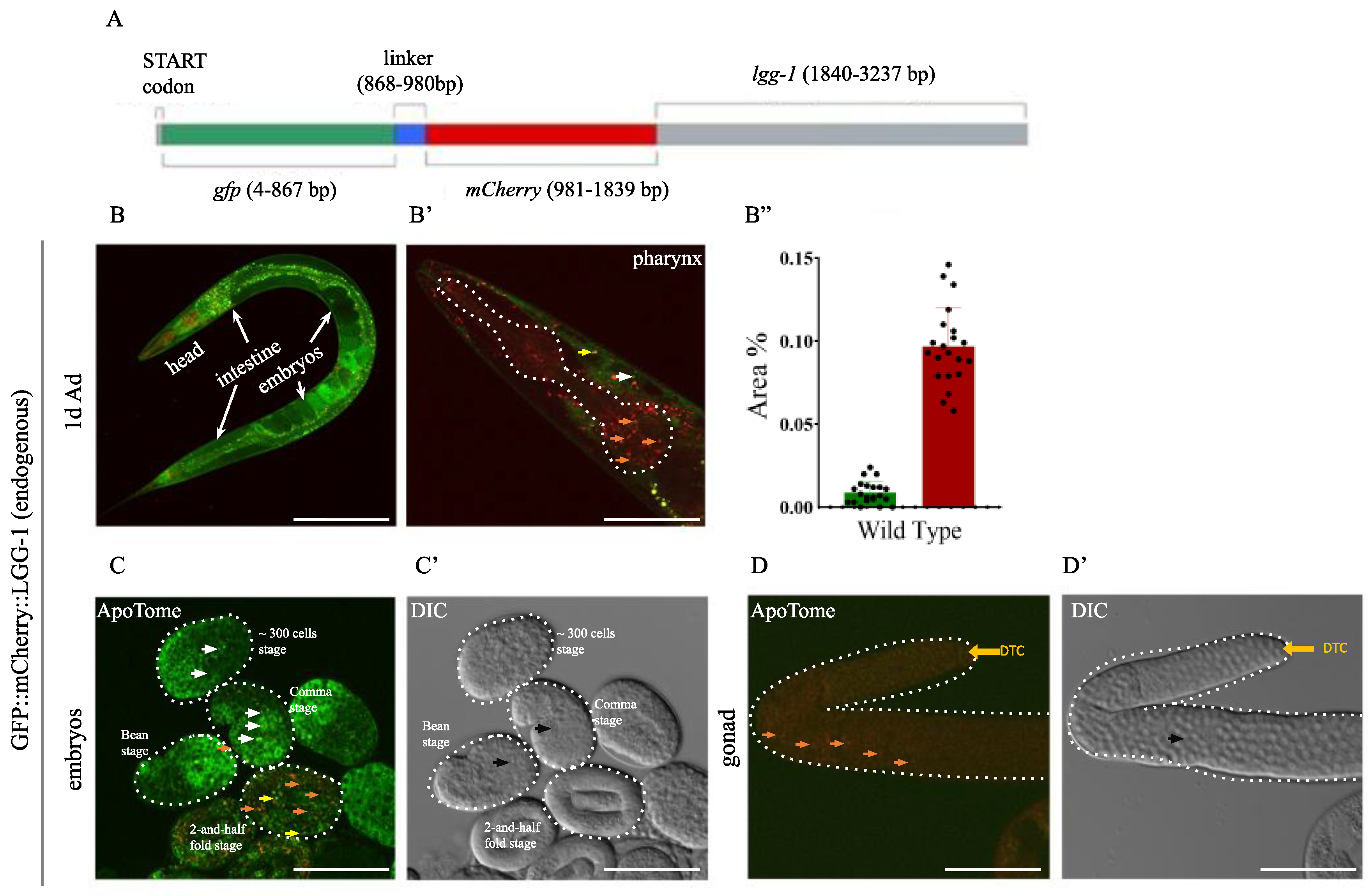 Preprints 180165 g002