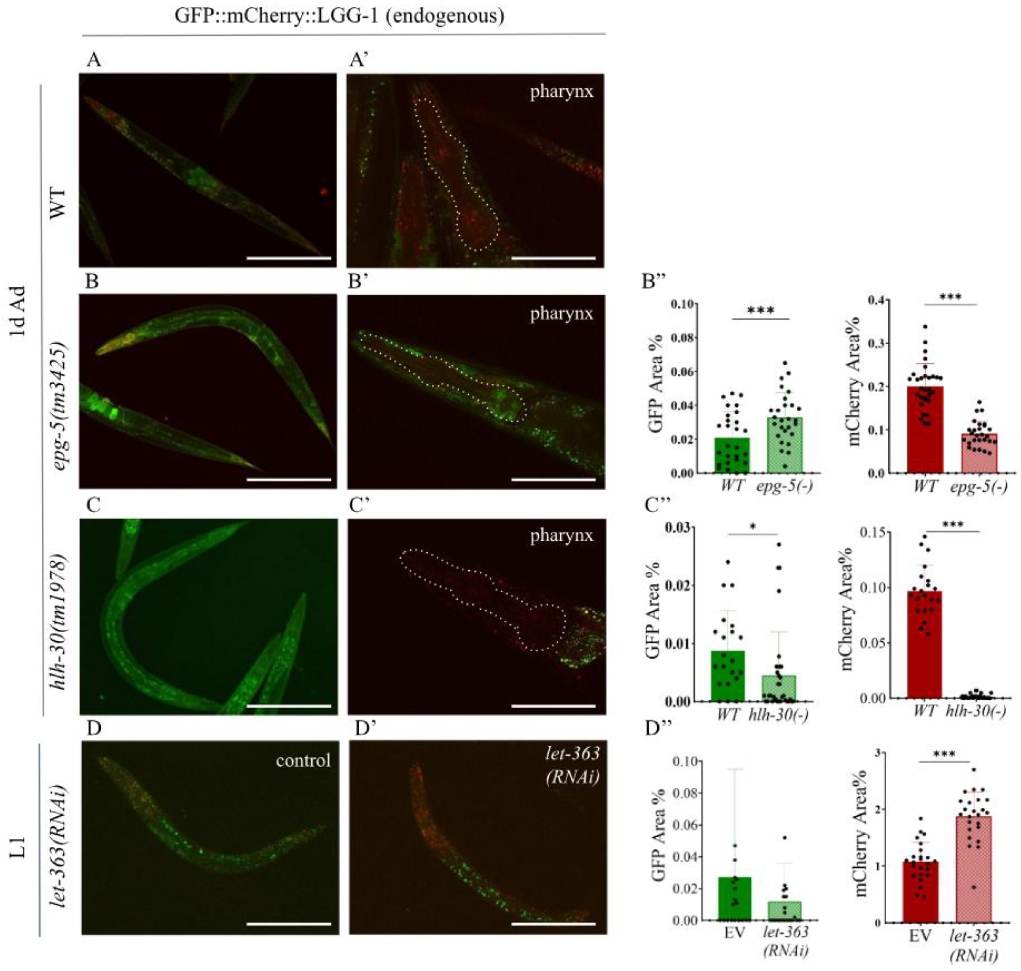 Preprints 180165 g003