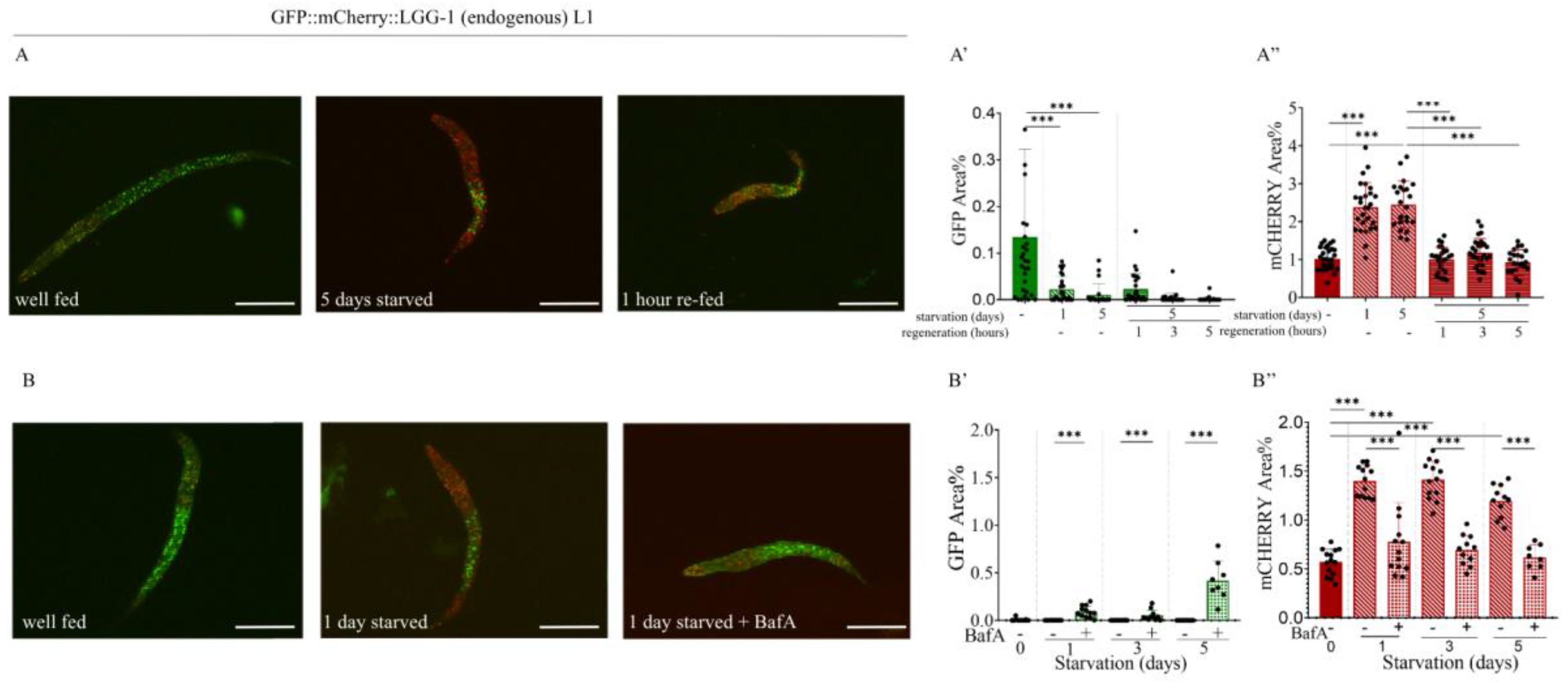 Preprints 180165 g005
