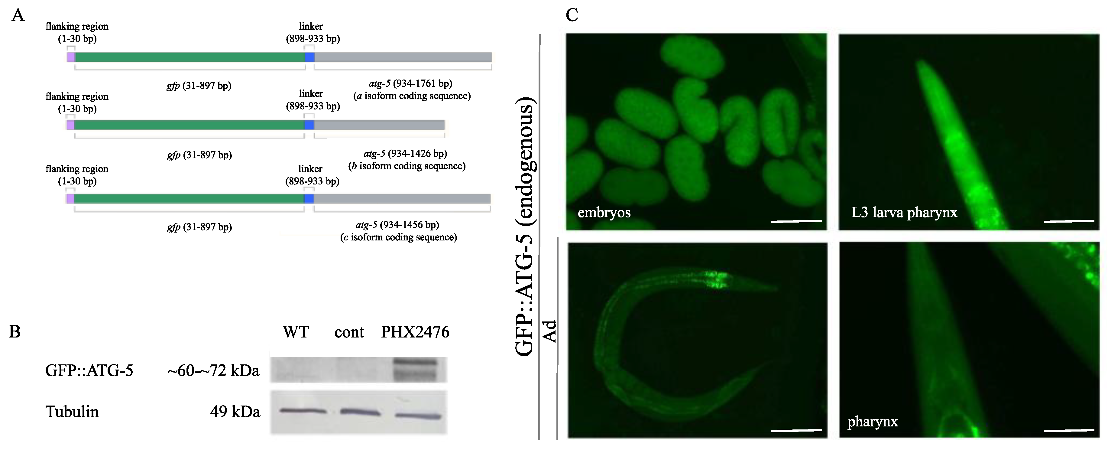 Preprints 180165 g006