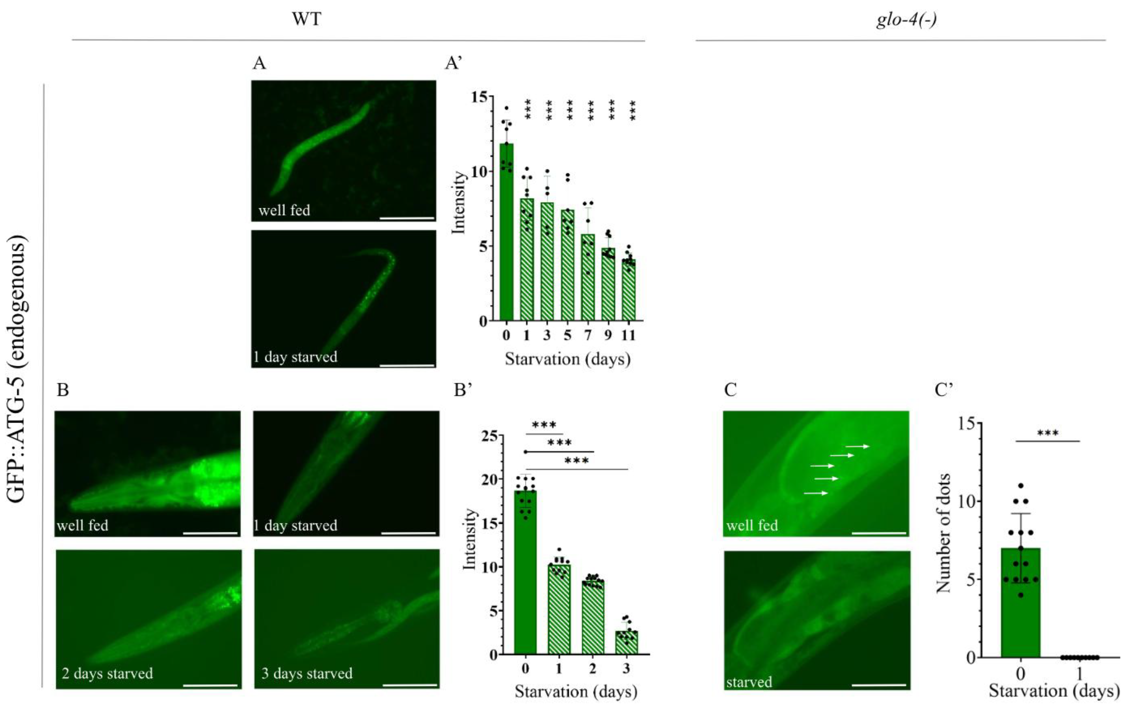 Preprints 180165 g007