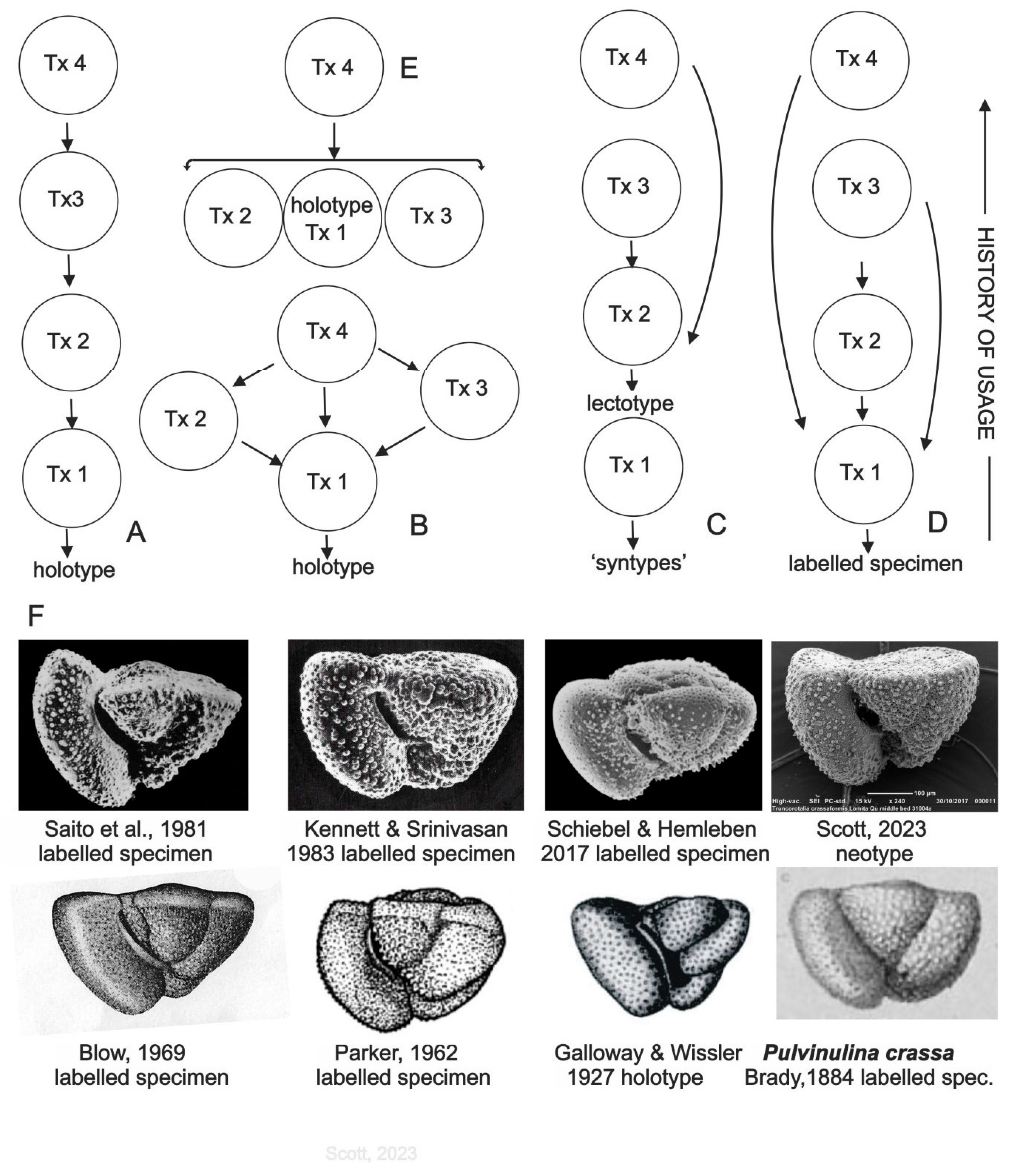 Preprints 167053 g001