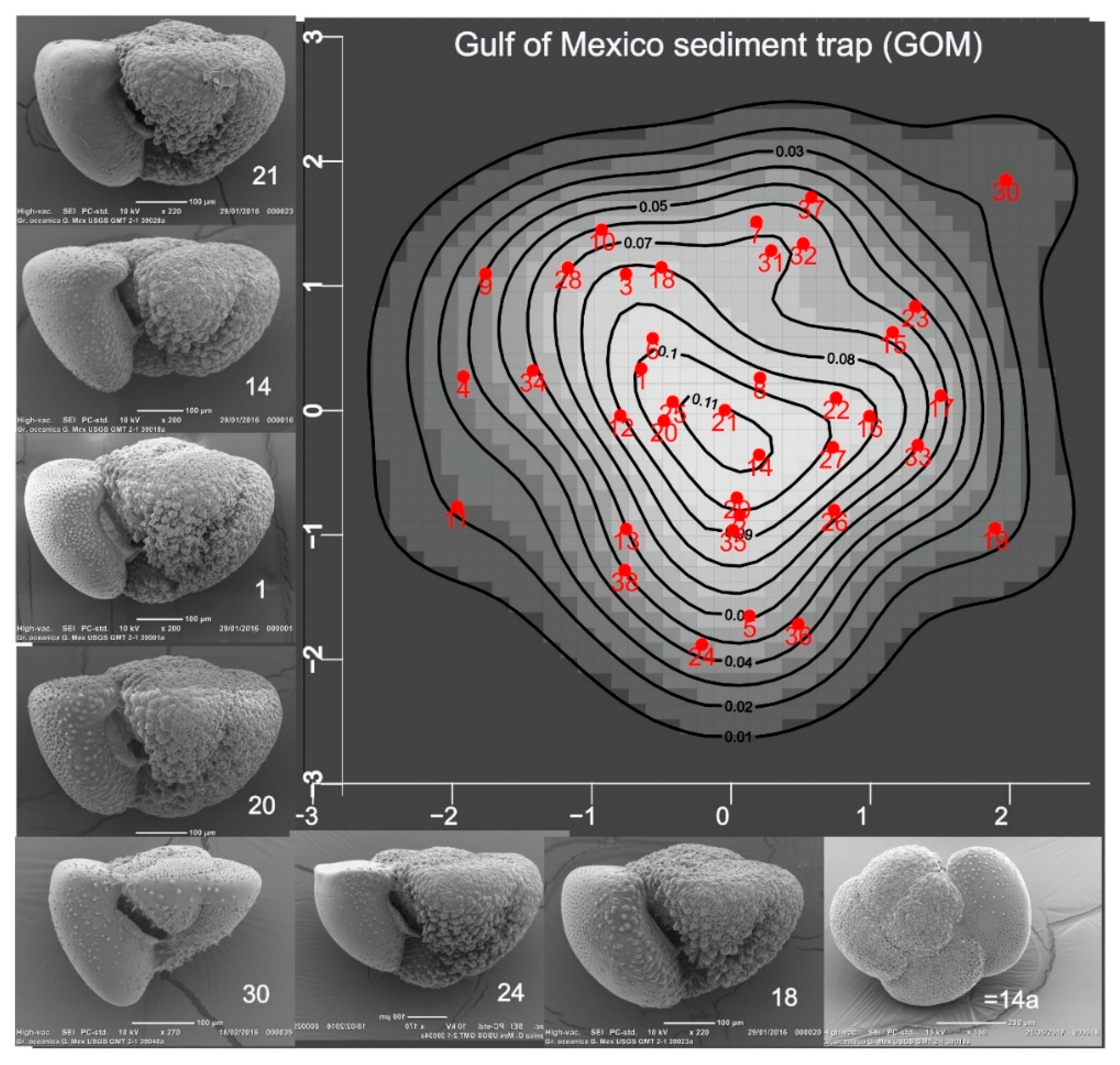 Preprints 167053 g002