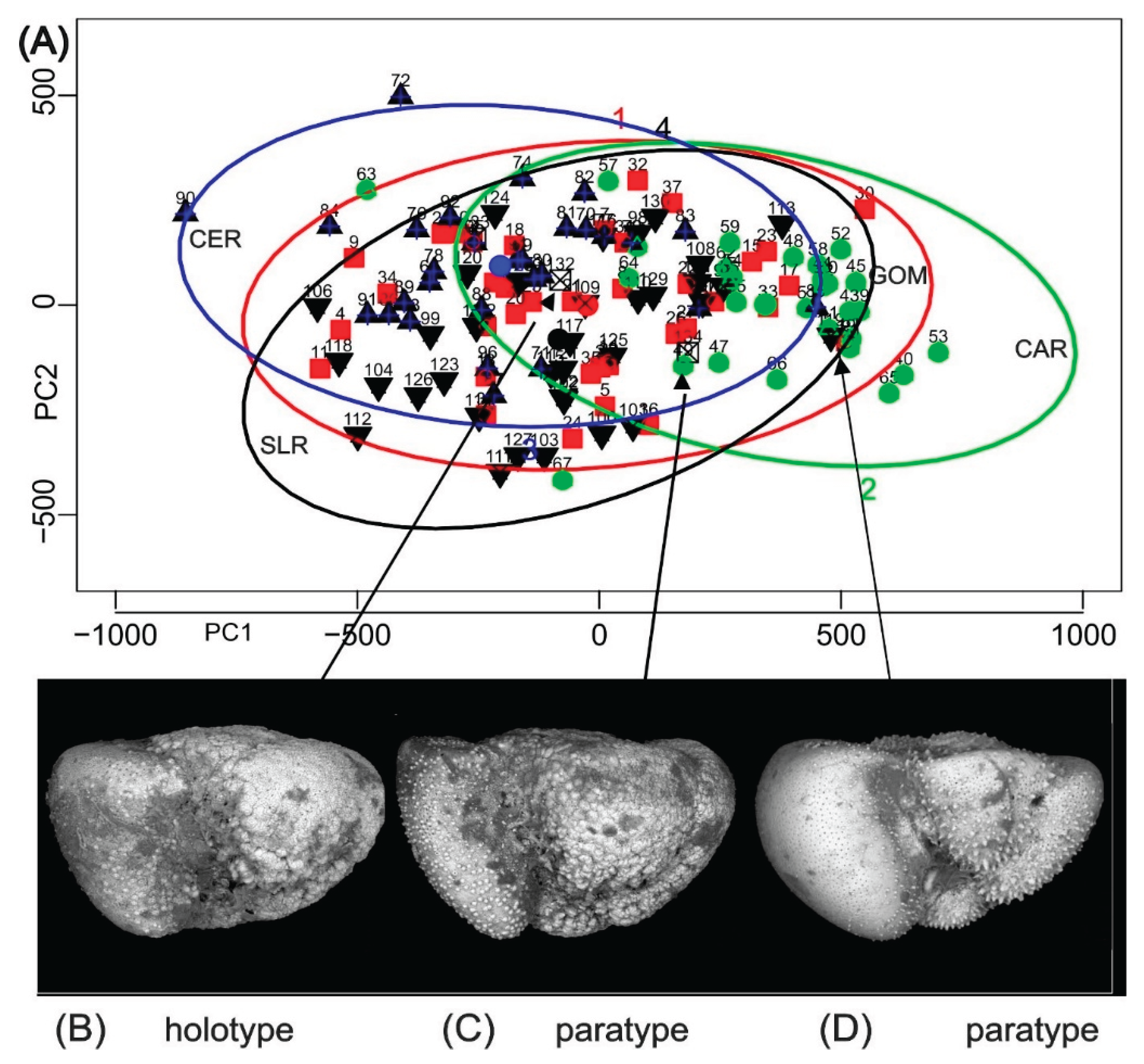 Preprints 167053 g003