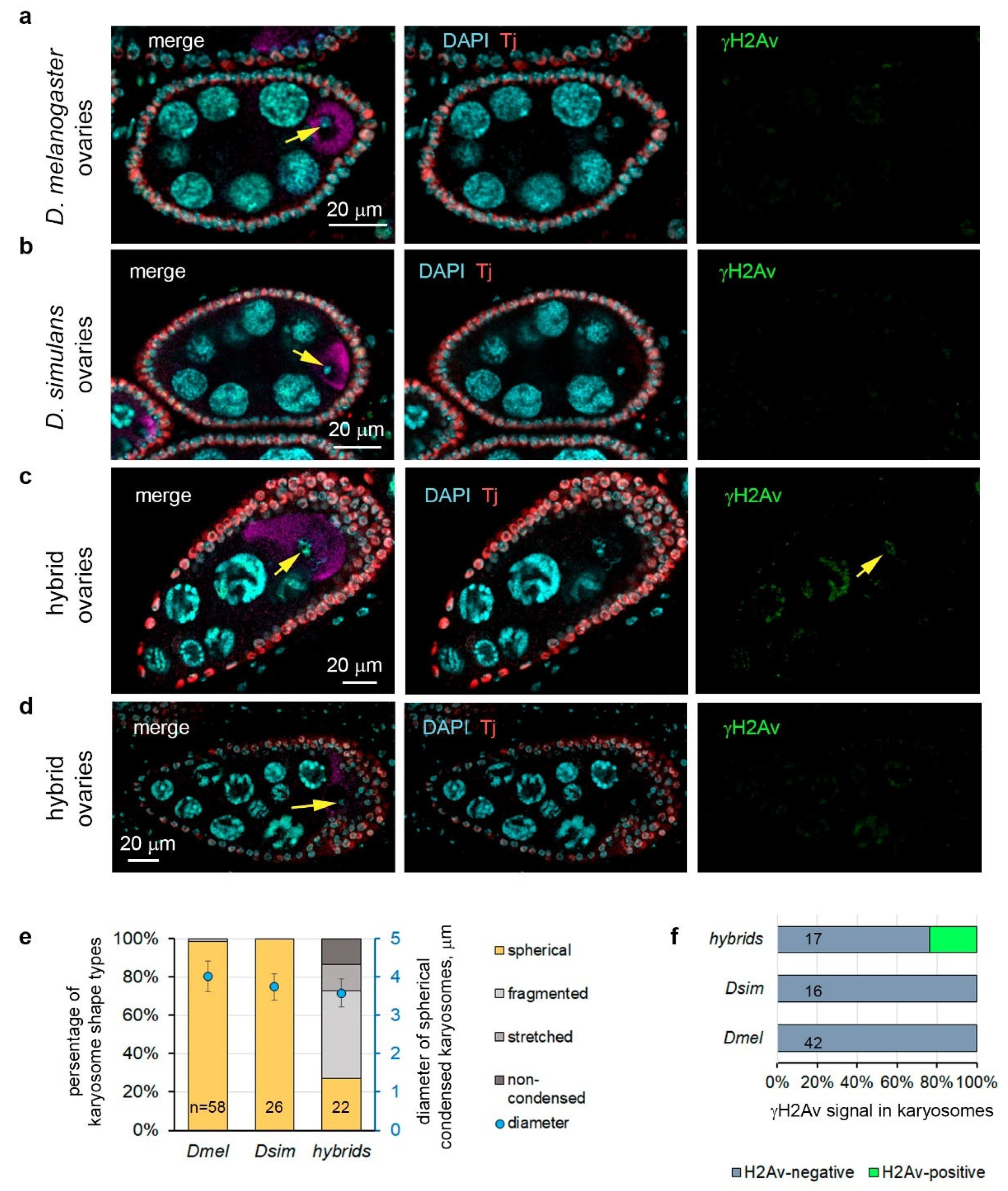 Preprints 104457 g002