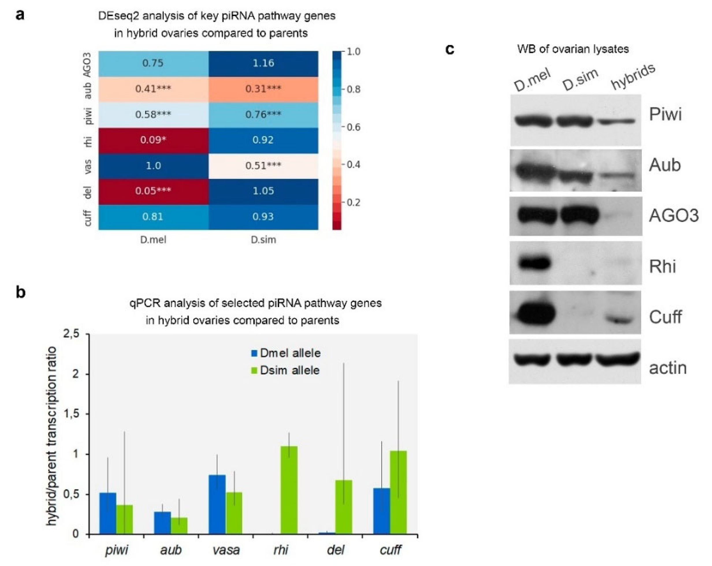 Preprints 104457 g004