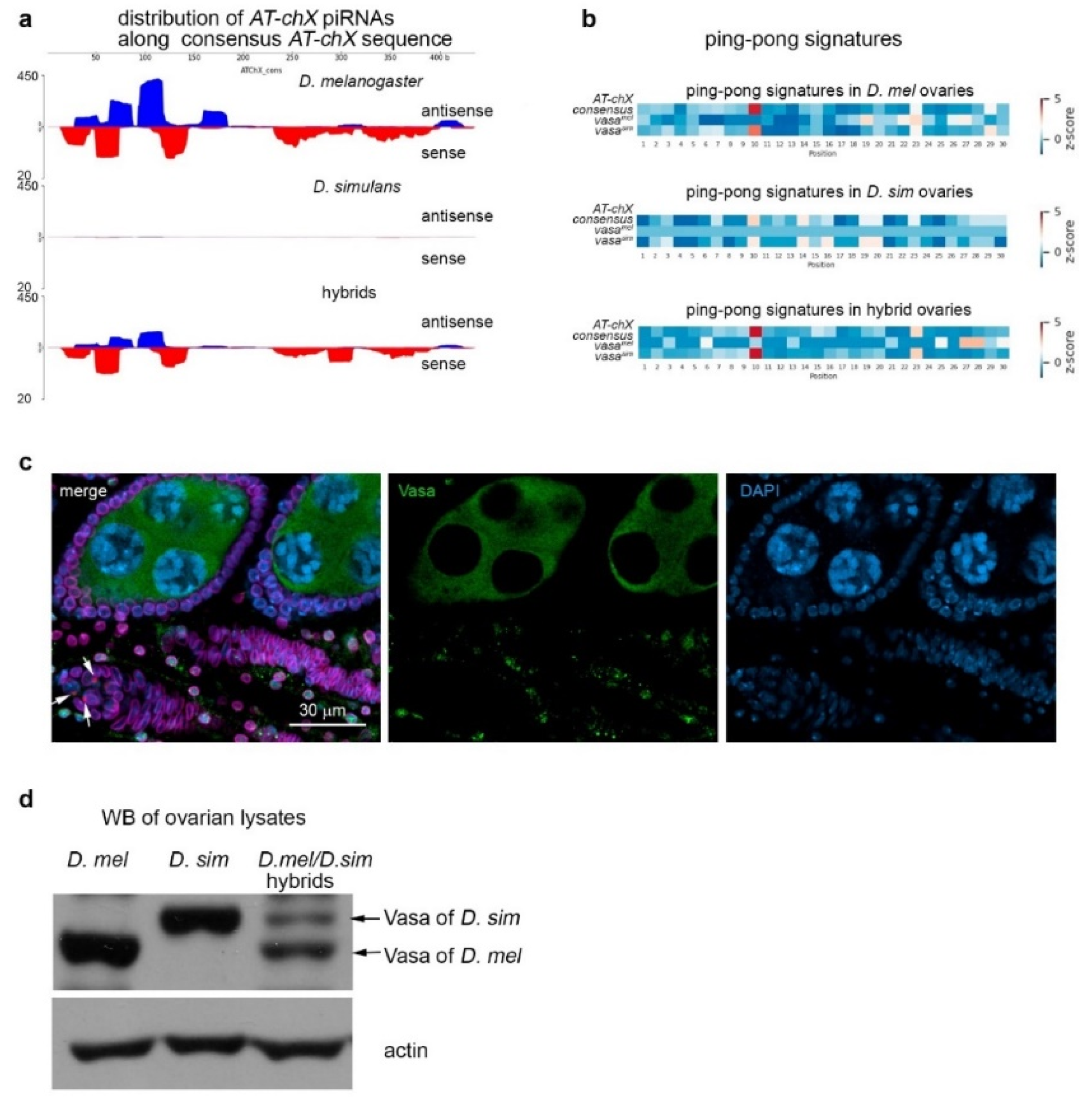 Preprints 104457 g008