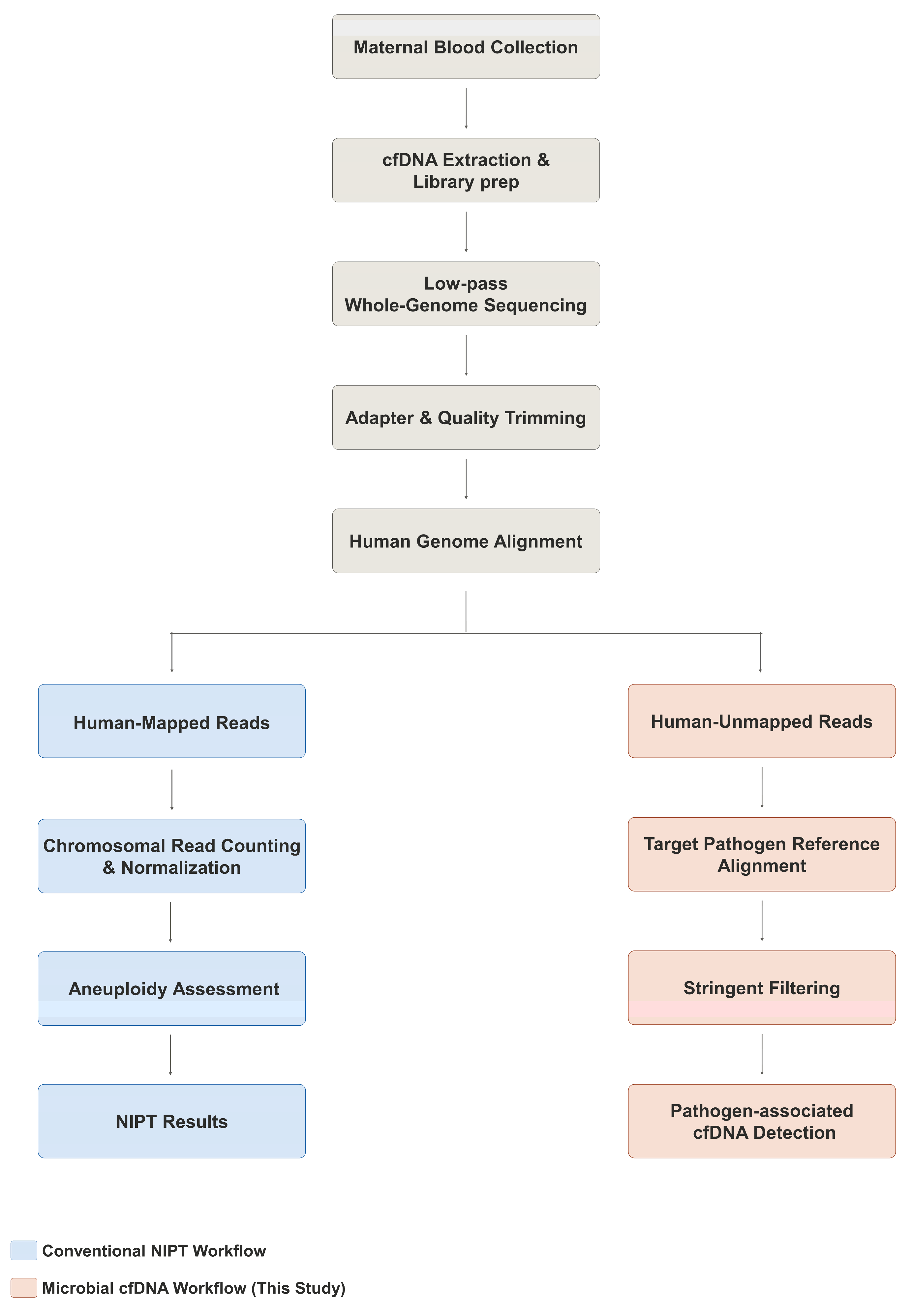 Preprints 231965 g001 Preprints 231965 g001