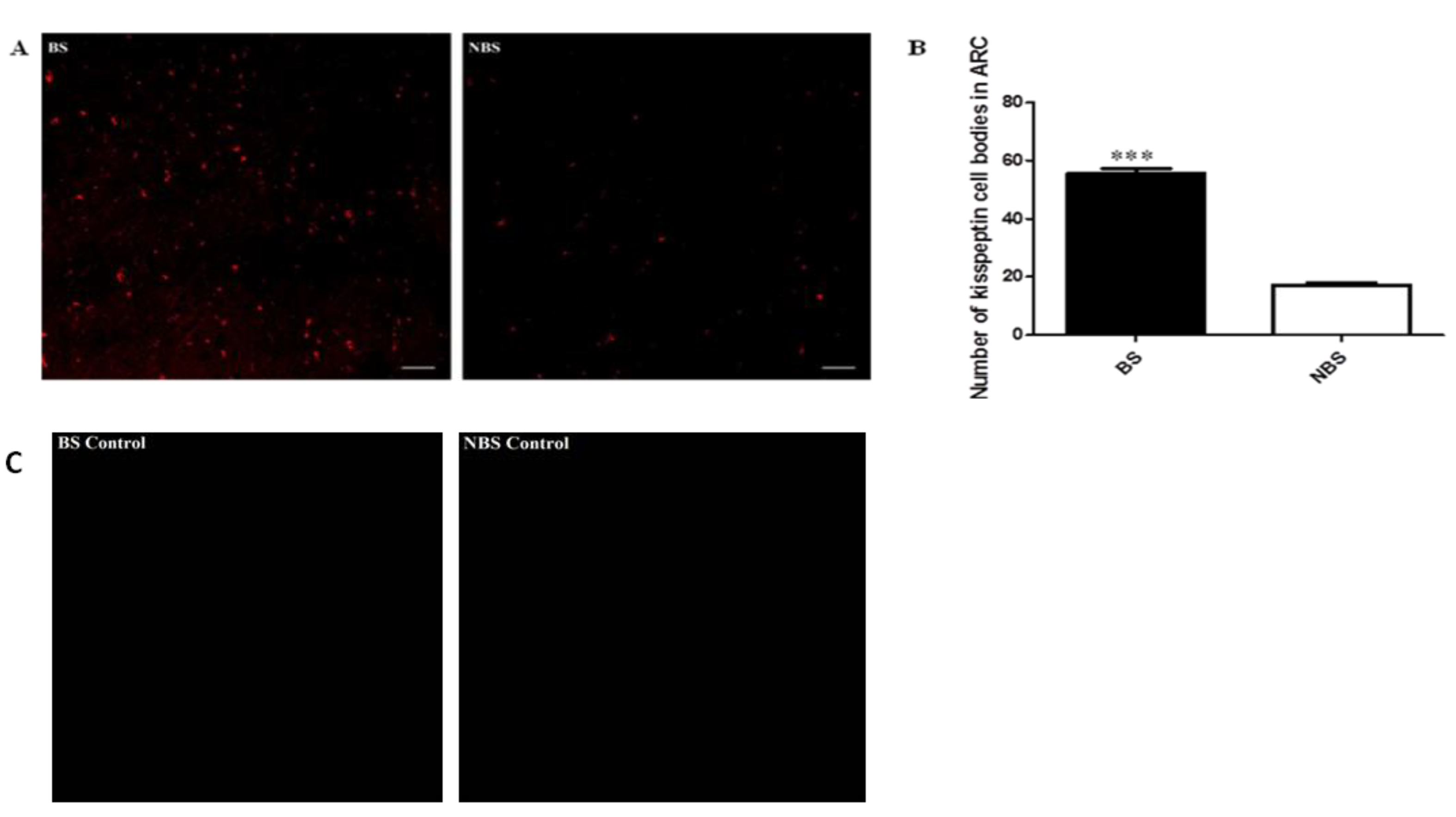 Preprints 164010 g005