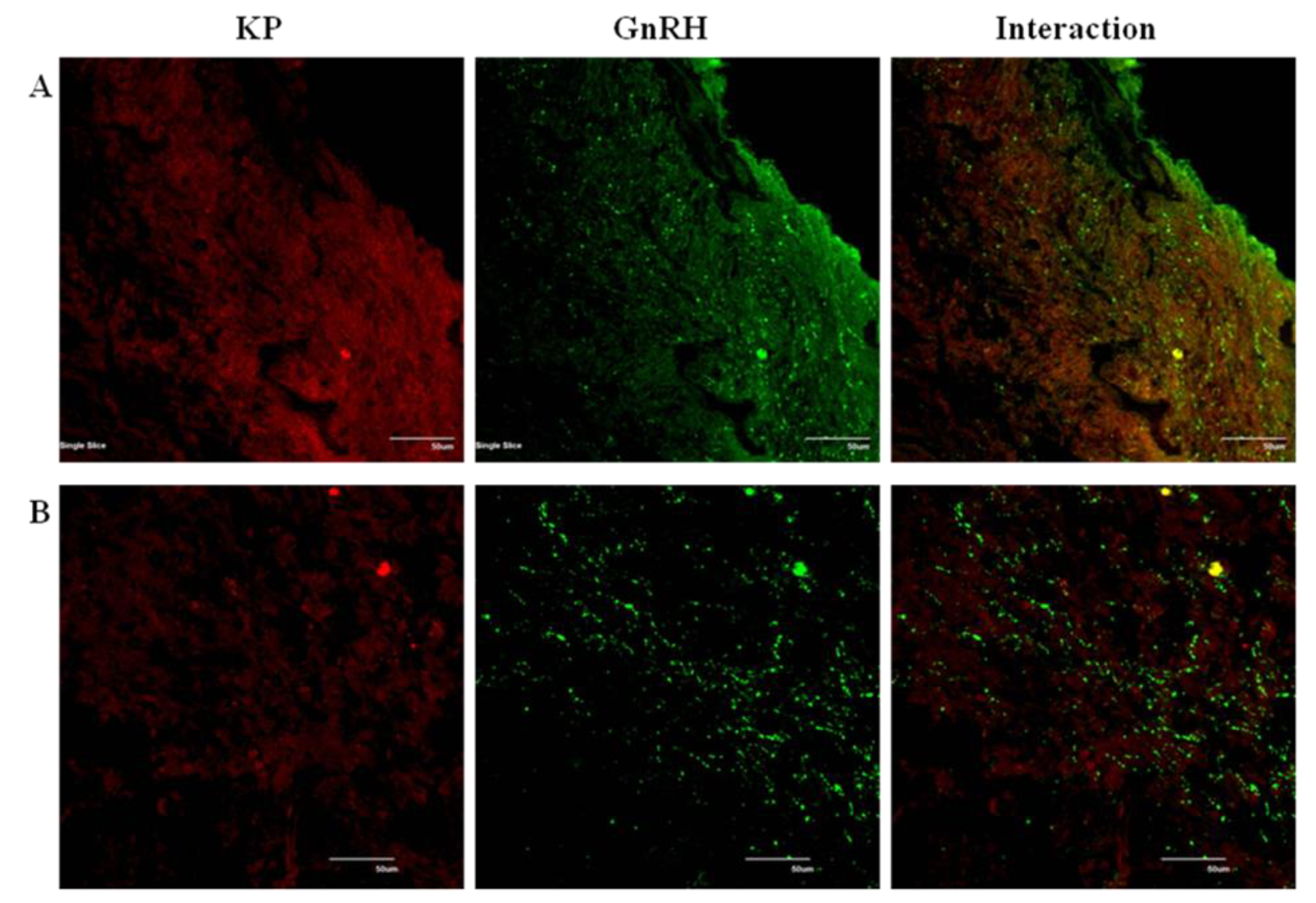 Preprints 164010 g006