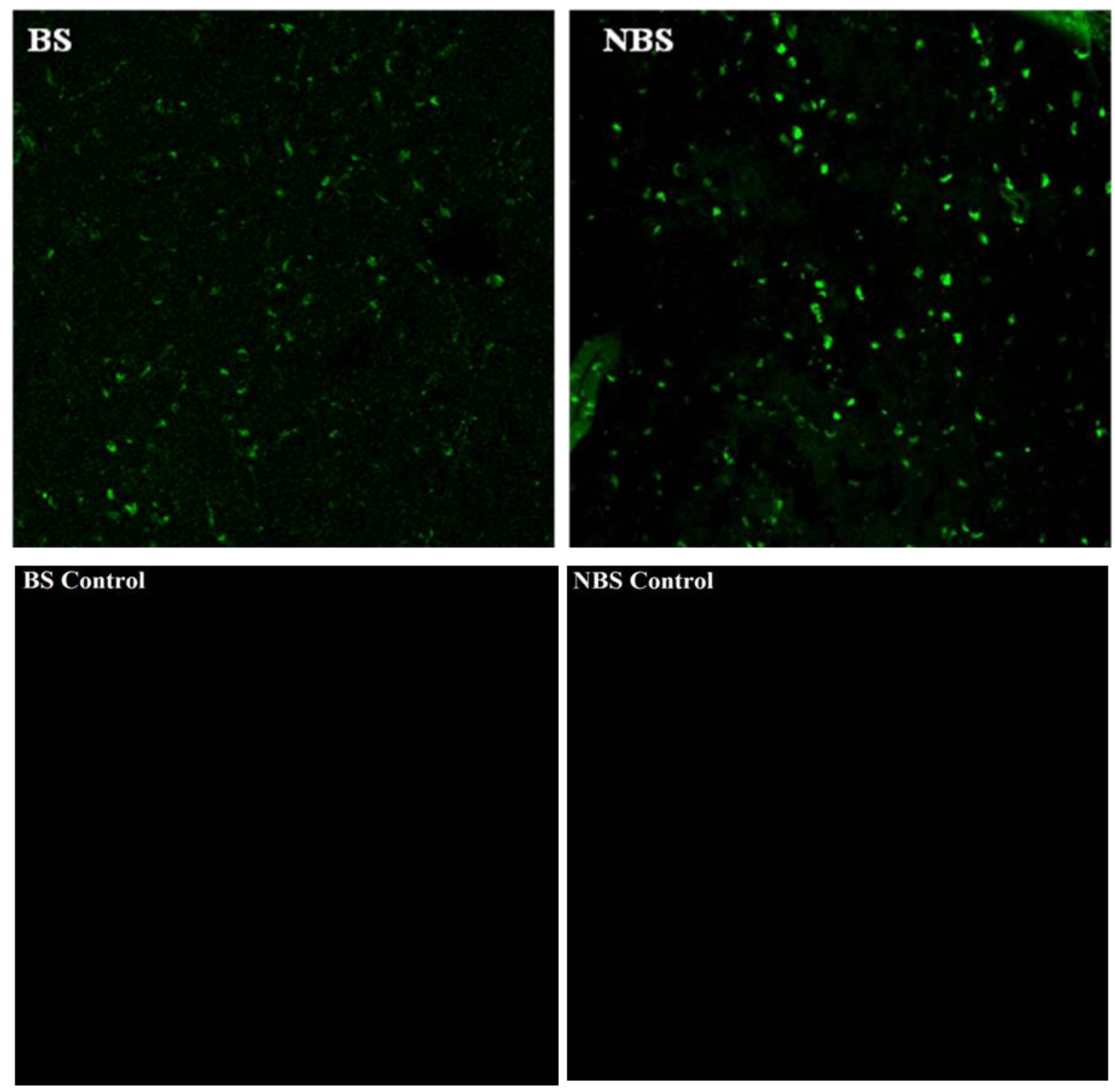 Preprints 164010 g007