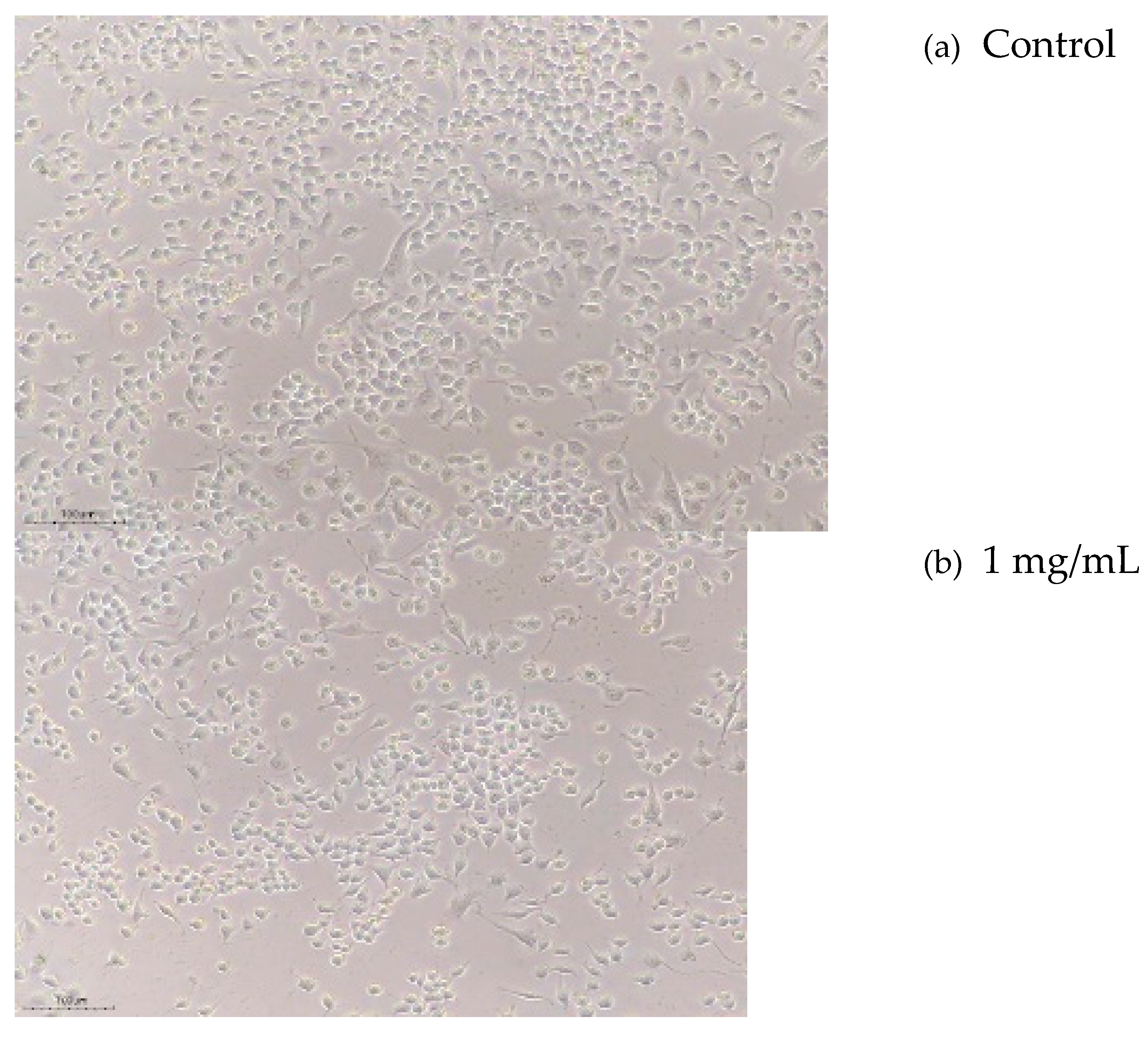 Preprints 170846 g011a