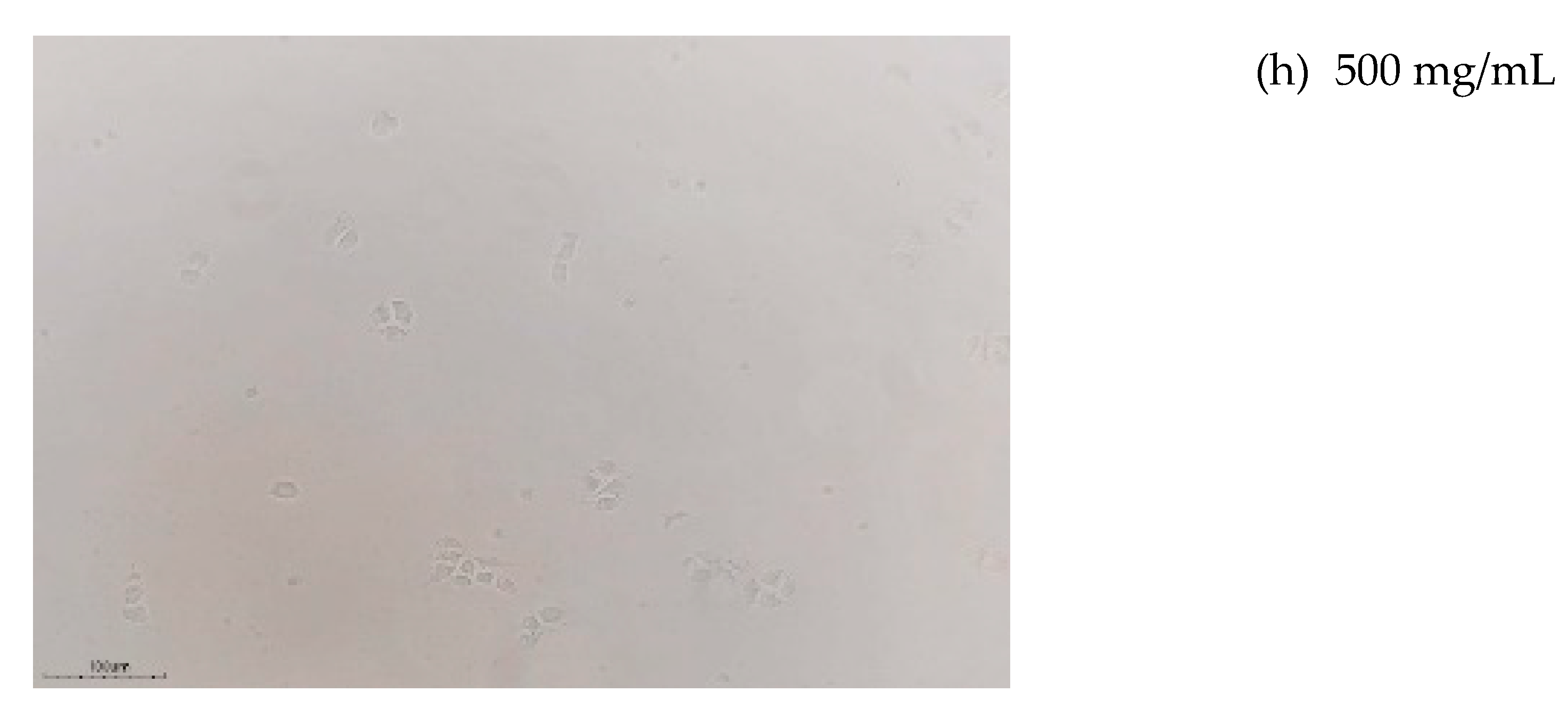 Preprints 170846 g011c