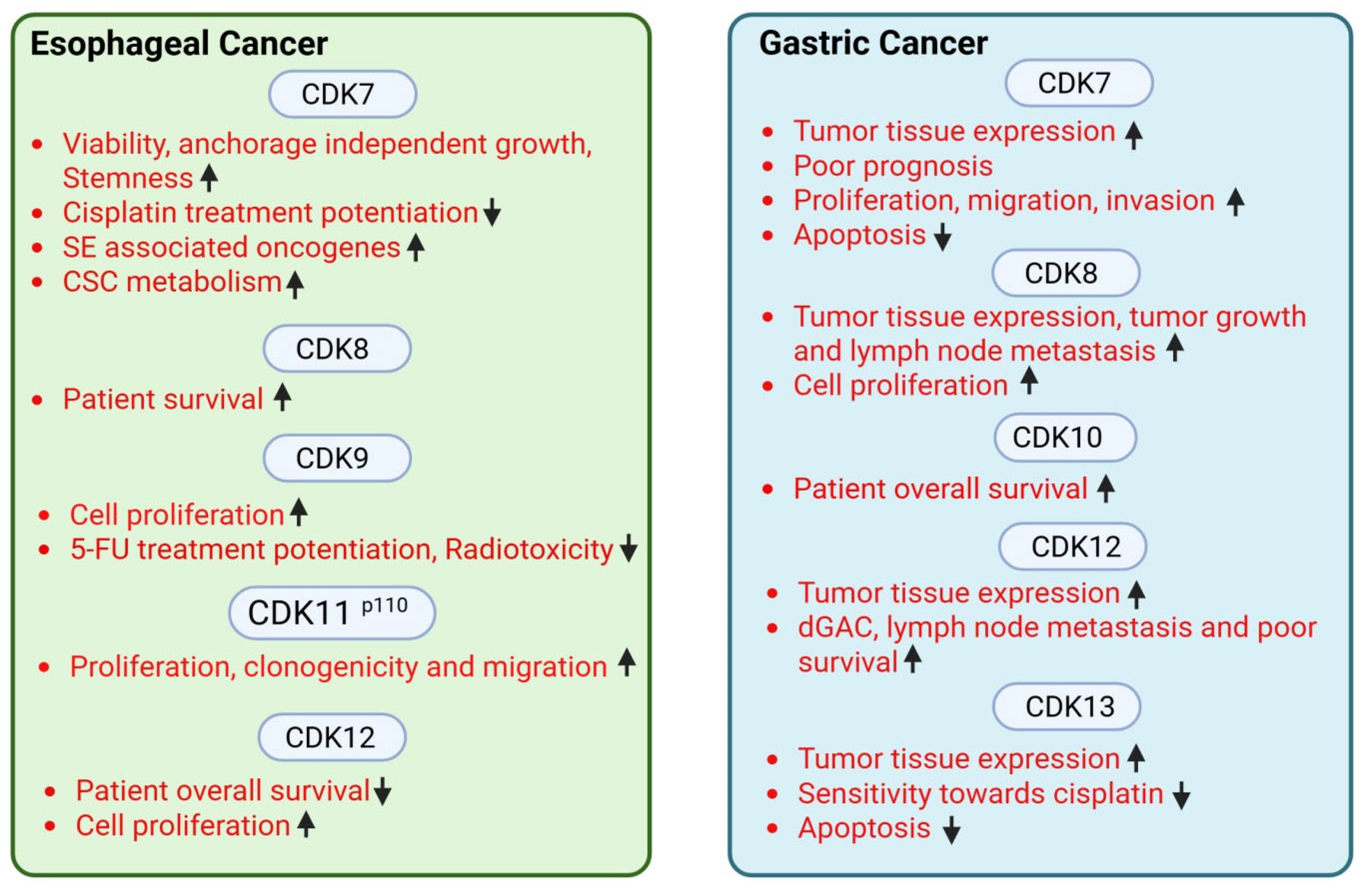Preprints 197564 g002