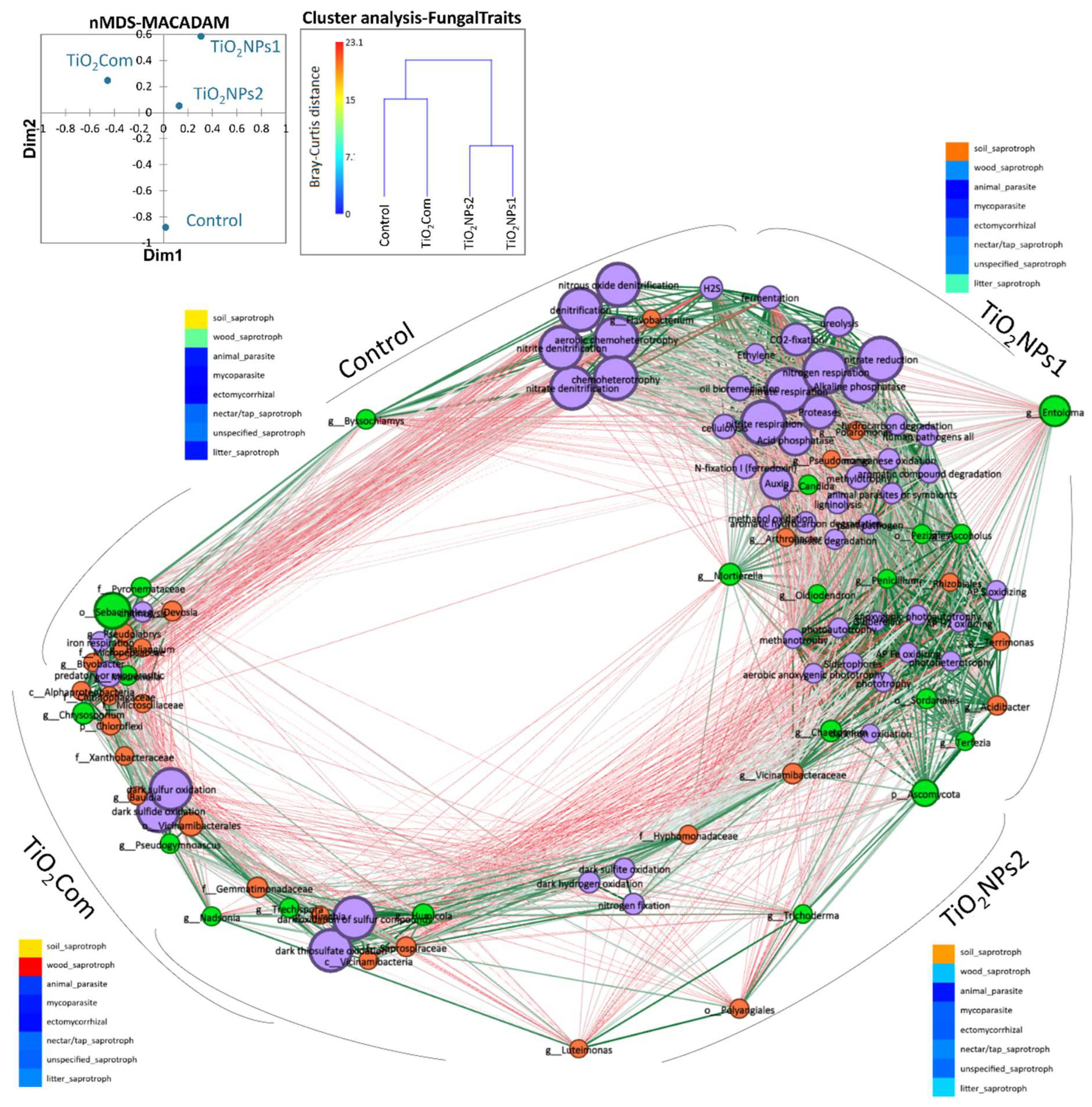 Preprints 141781 g004
