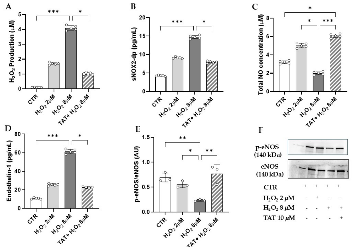 Preprints 226856 g002