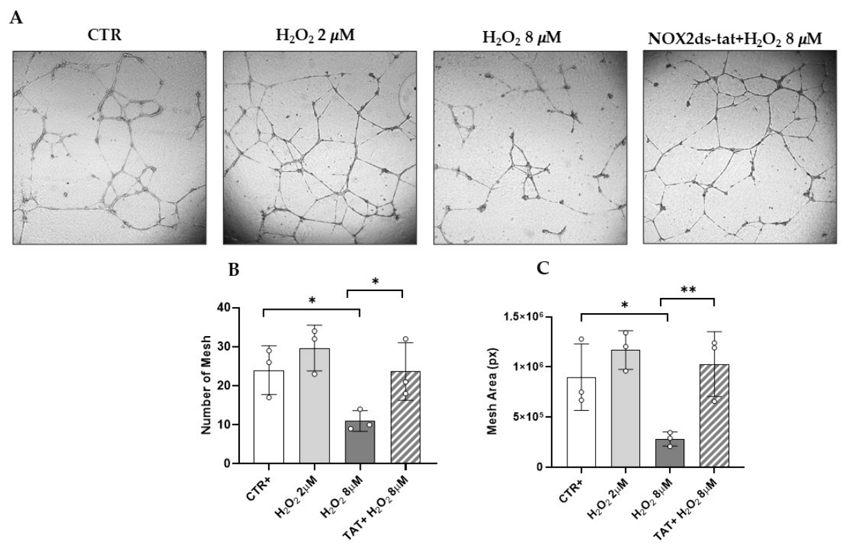 Preprints 226856 g003