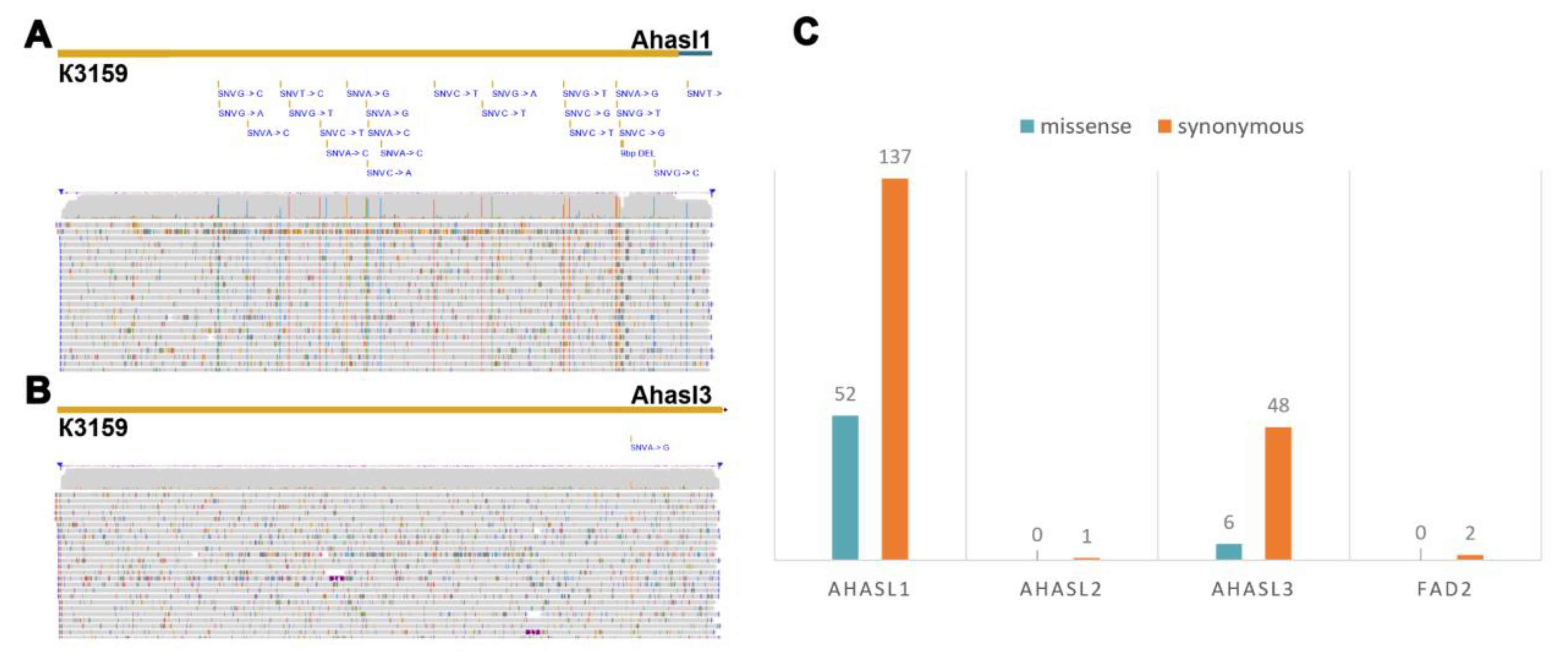 Preprints 146353 g002