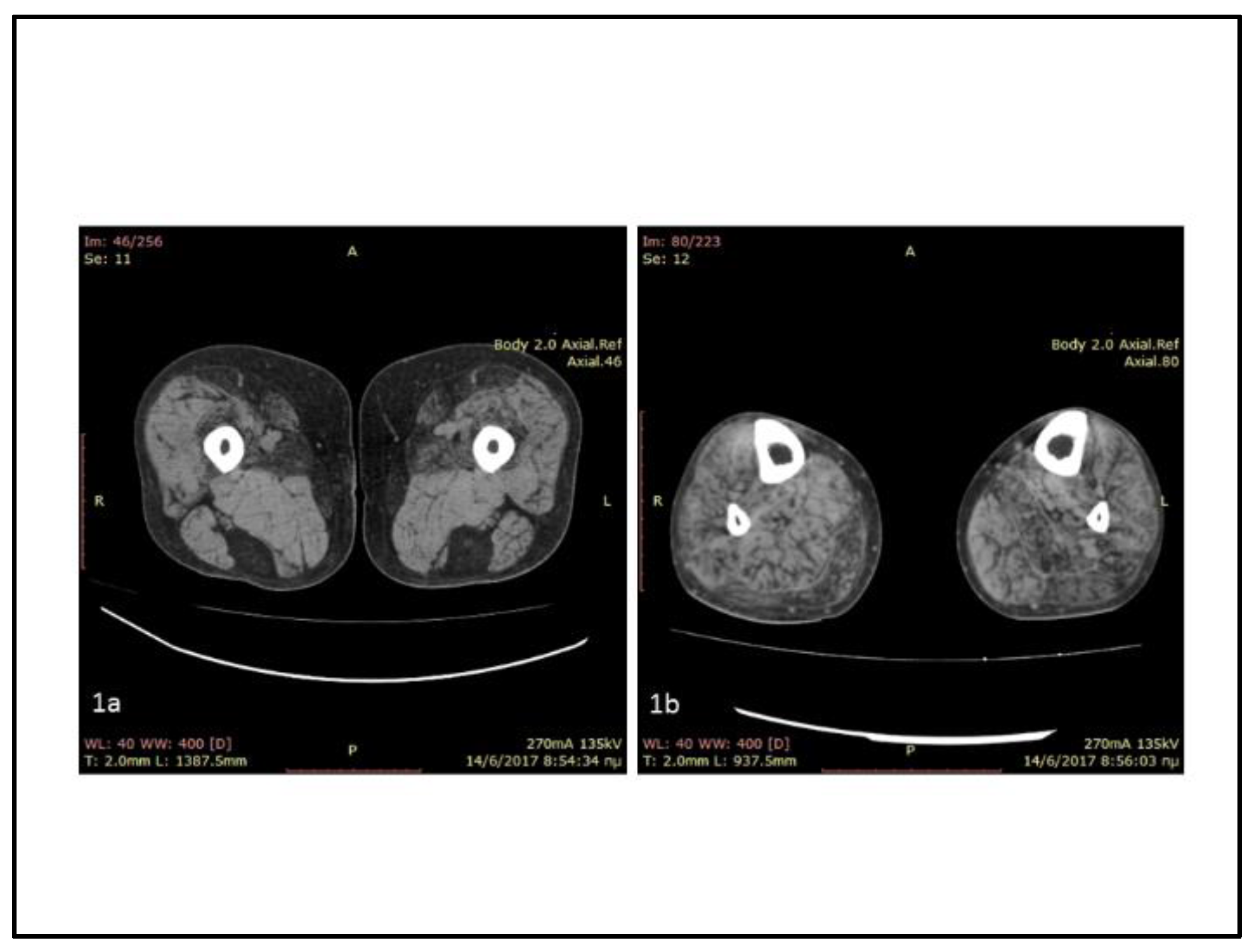 Preprints 72430 g001