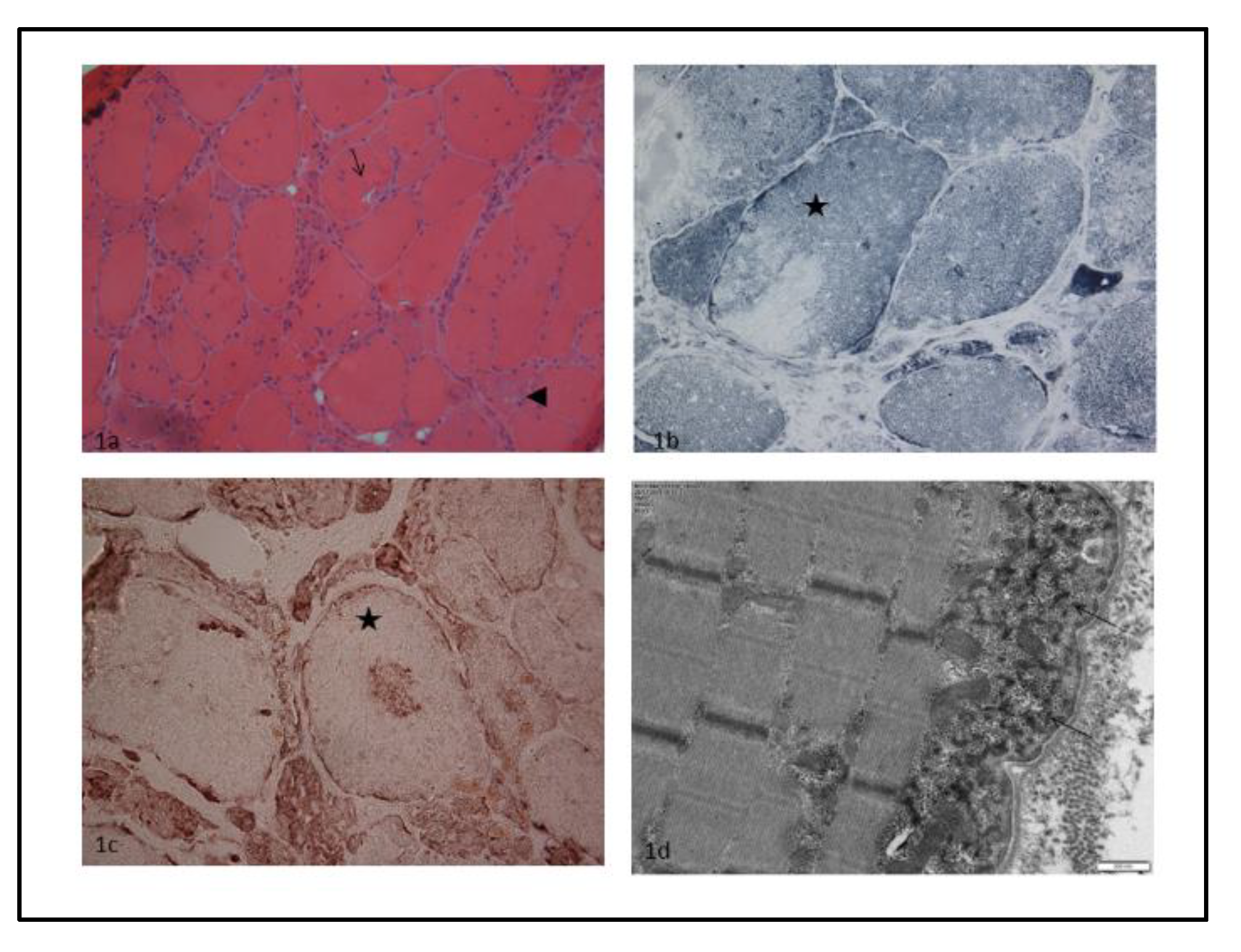 Preprints 72430 g002