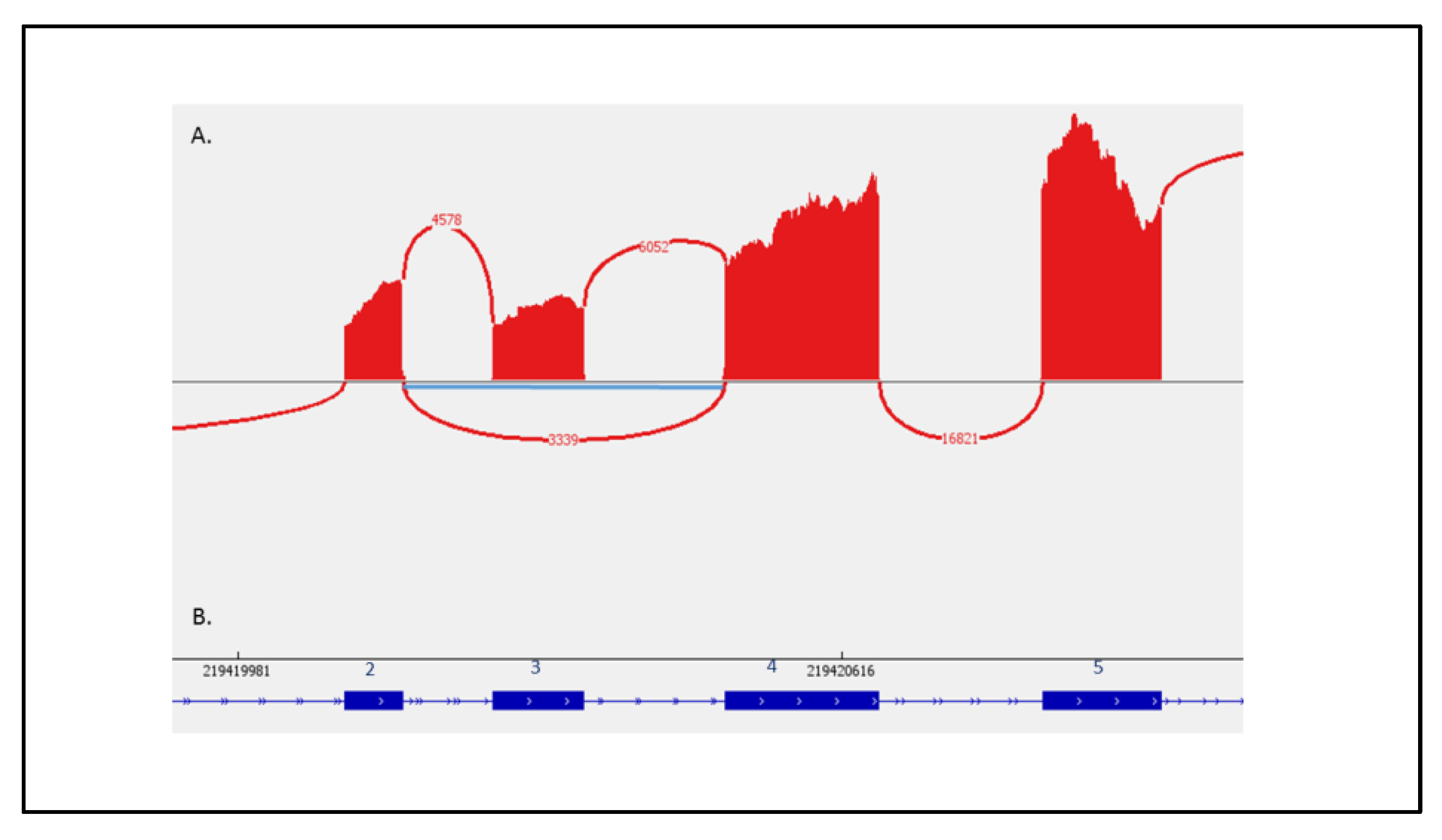 Preprints 72430 g003