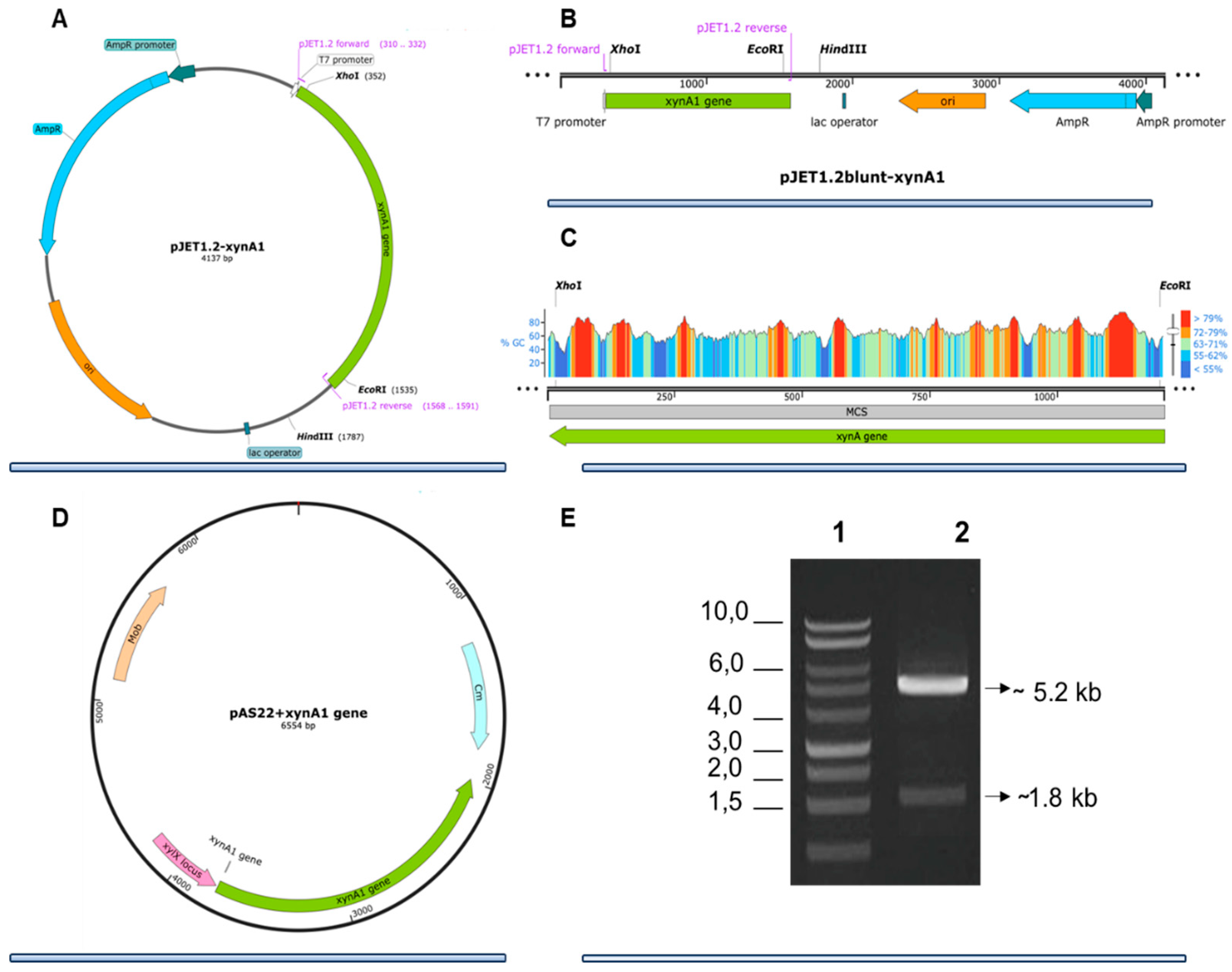Preprints 174493 g001