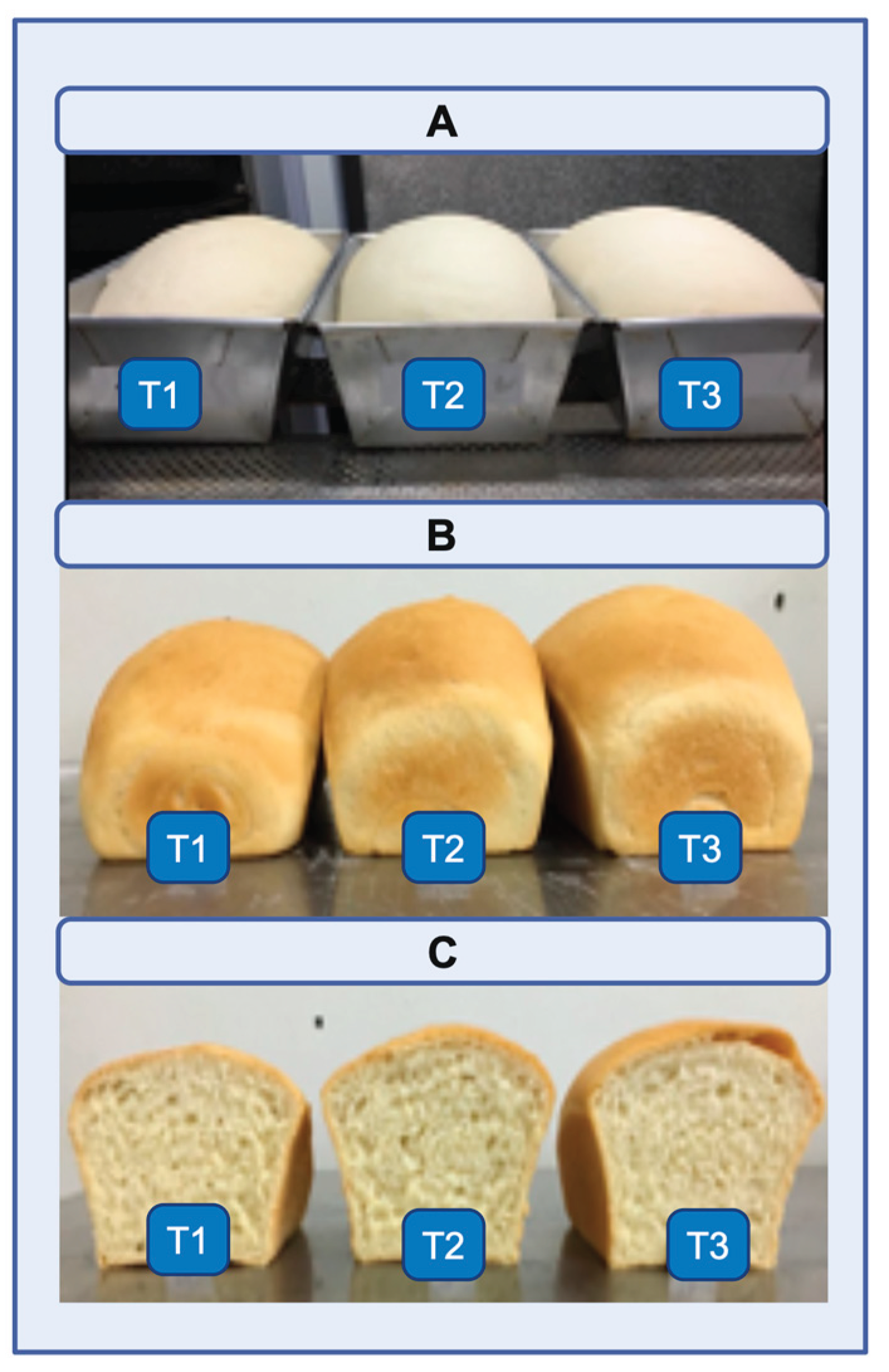 Preprints 174493 g009