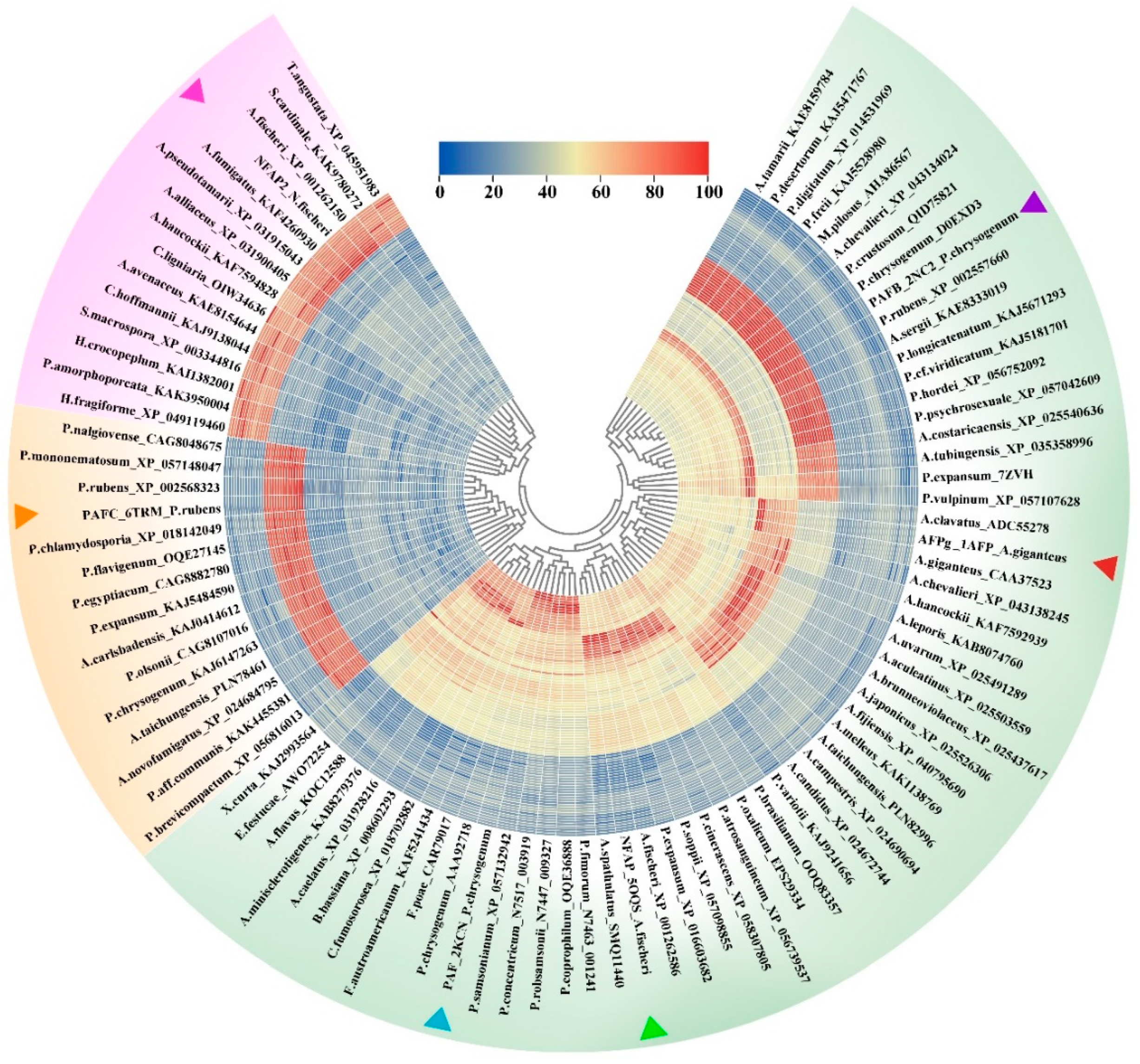 Preprints 144005 g003