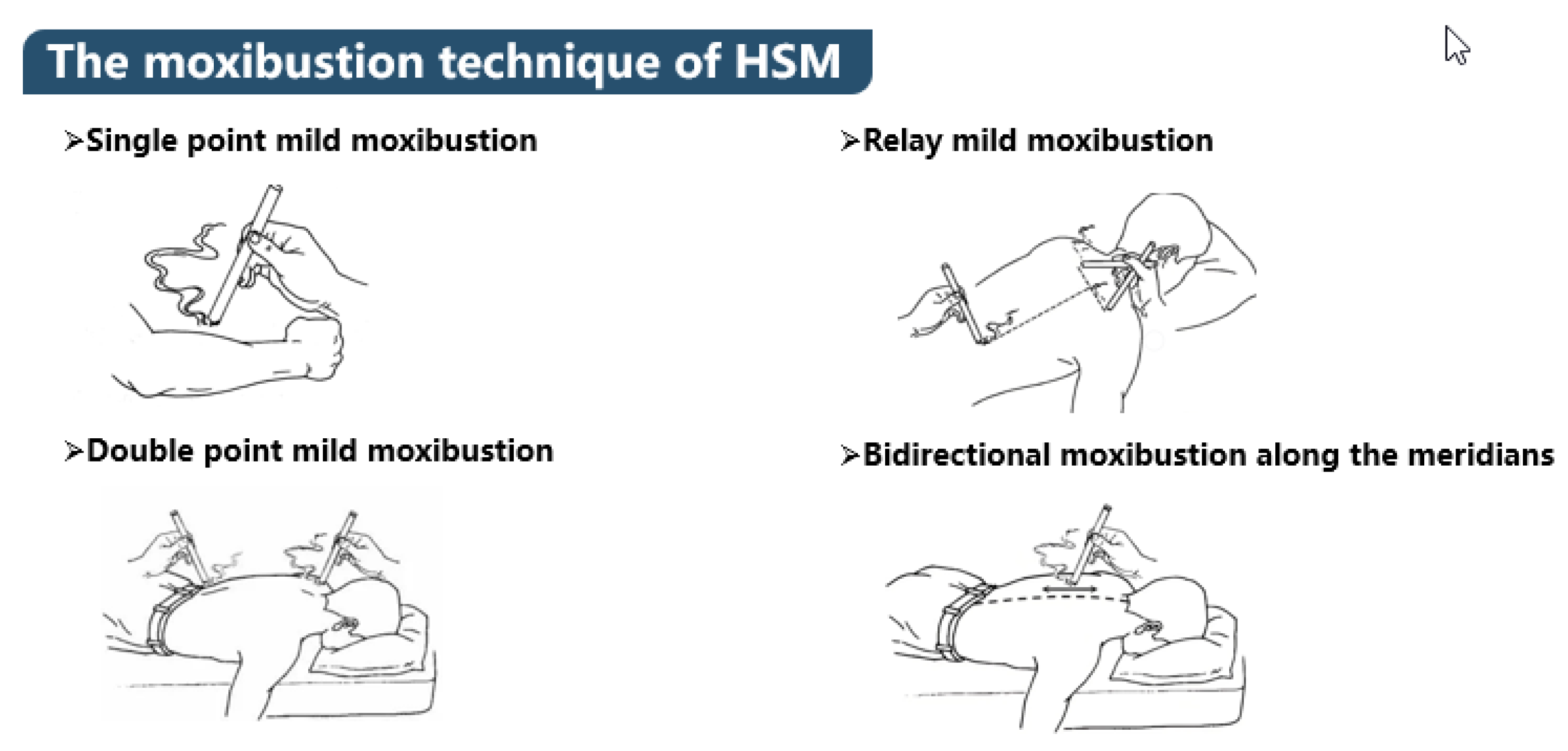 Preprints 188604 g001
