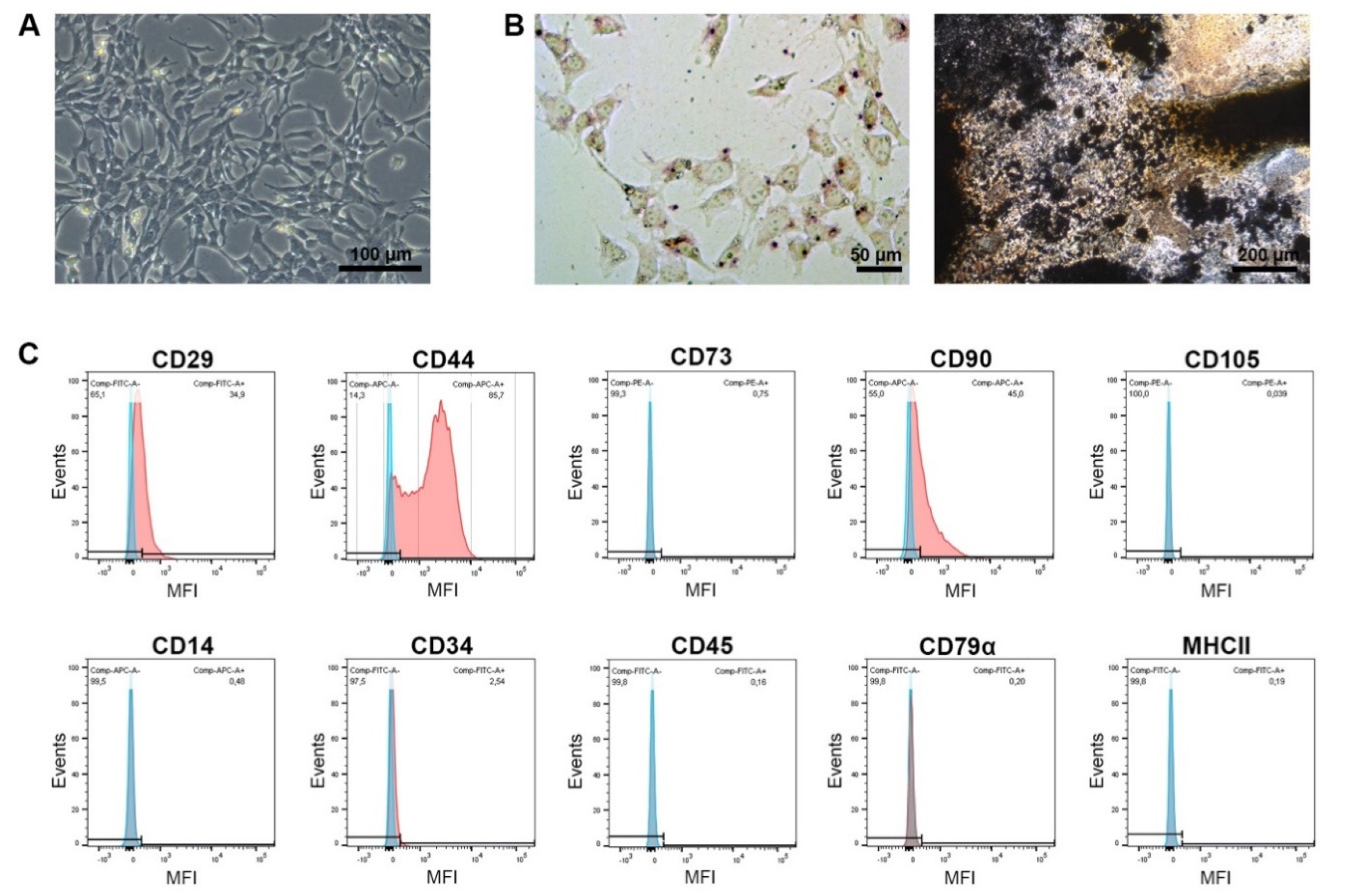 Preprints 86018 g001
