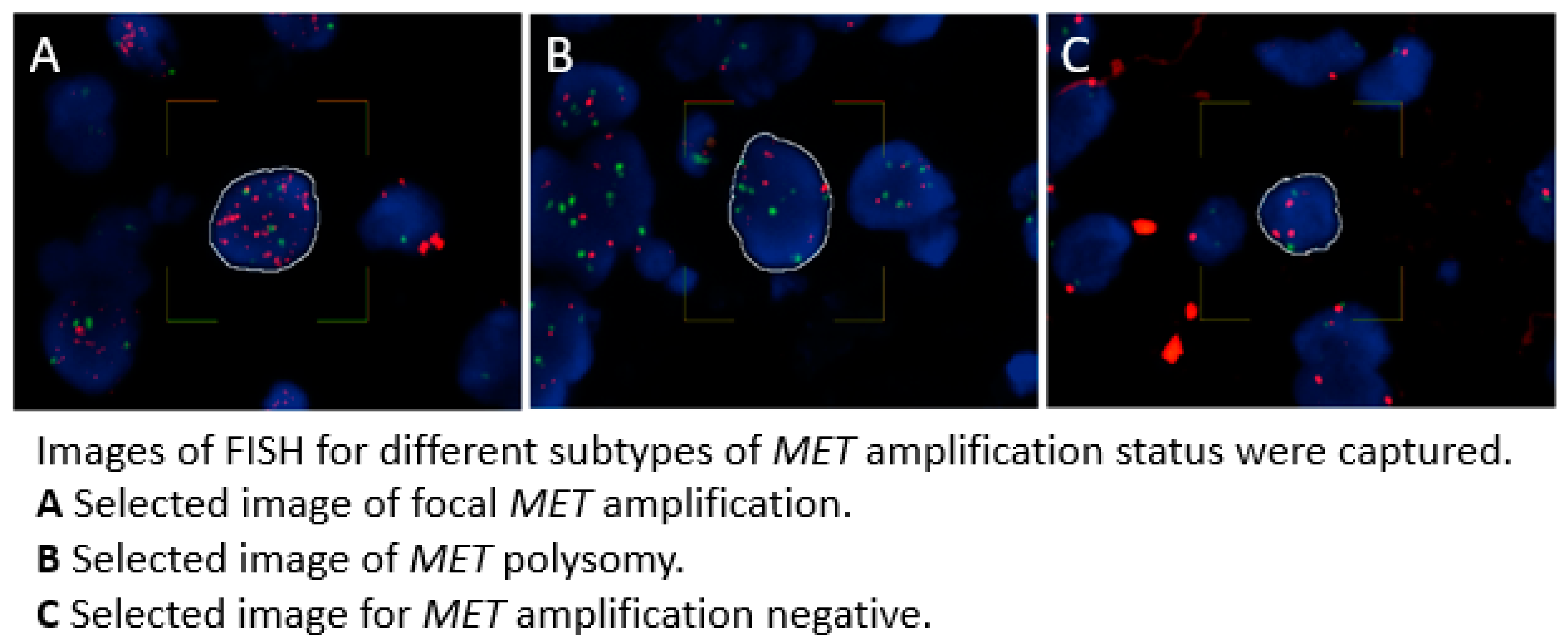 Preprints 147390 g001