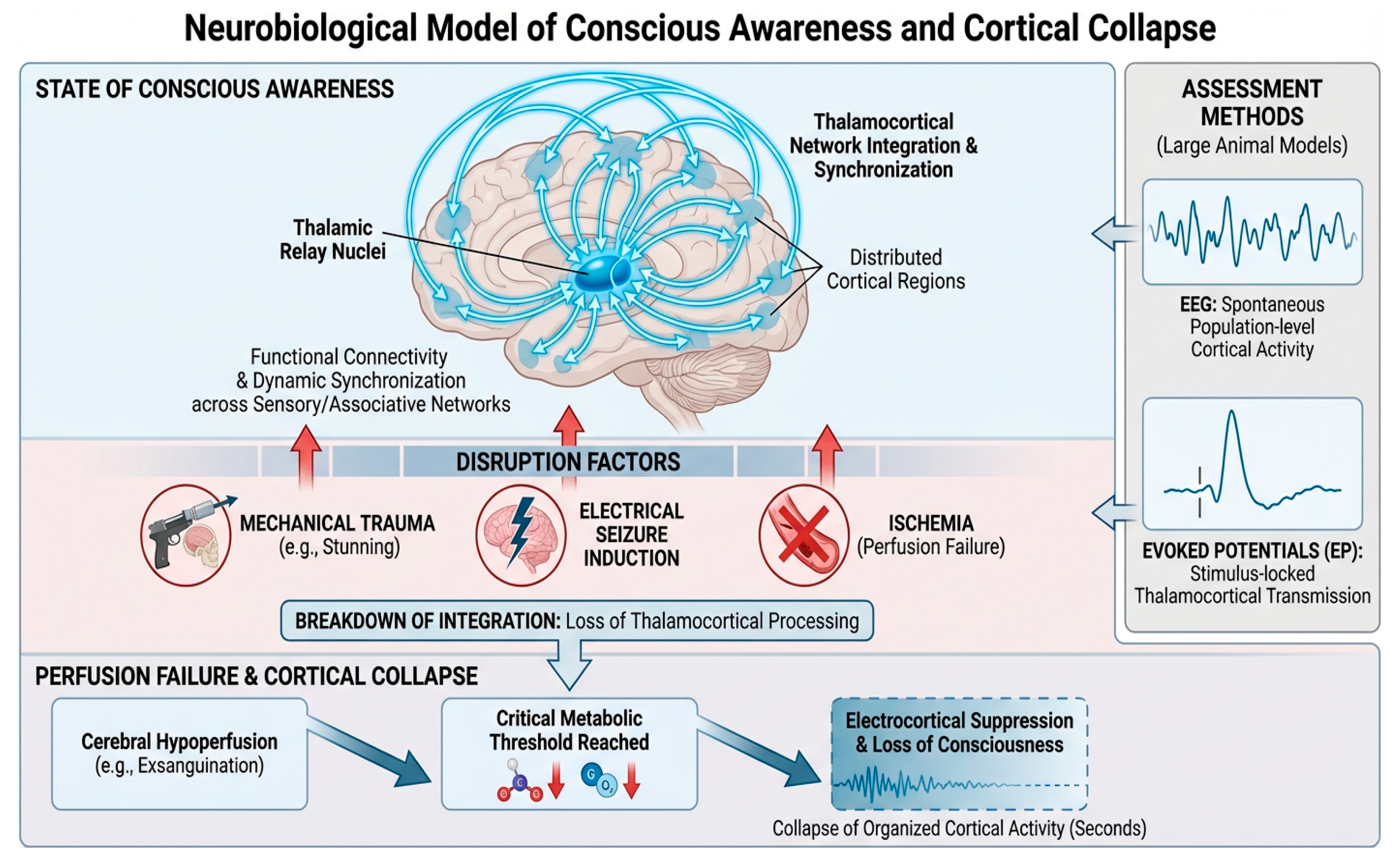 Preprints 200159 g001