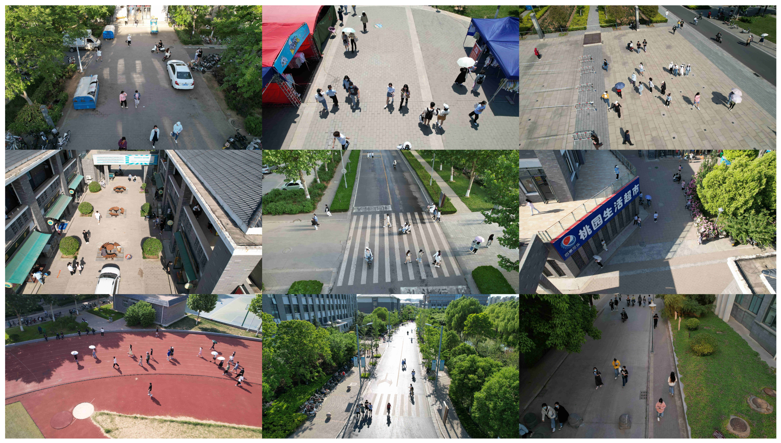 Preprints 96825 g005