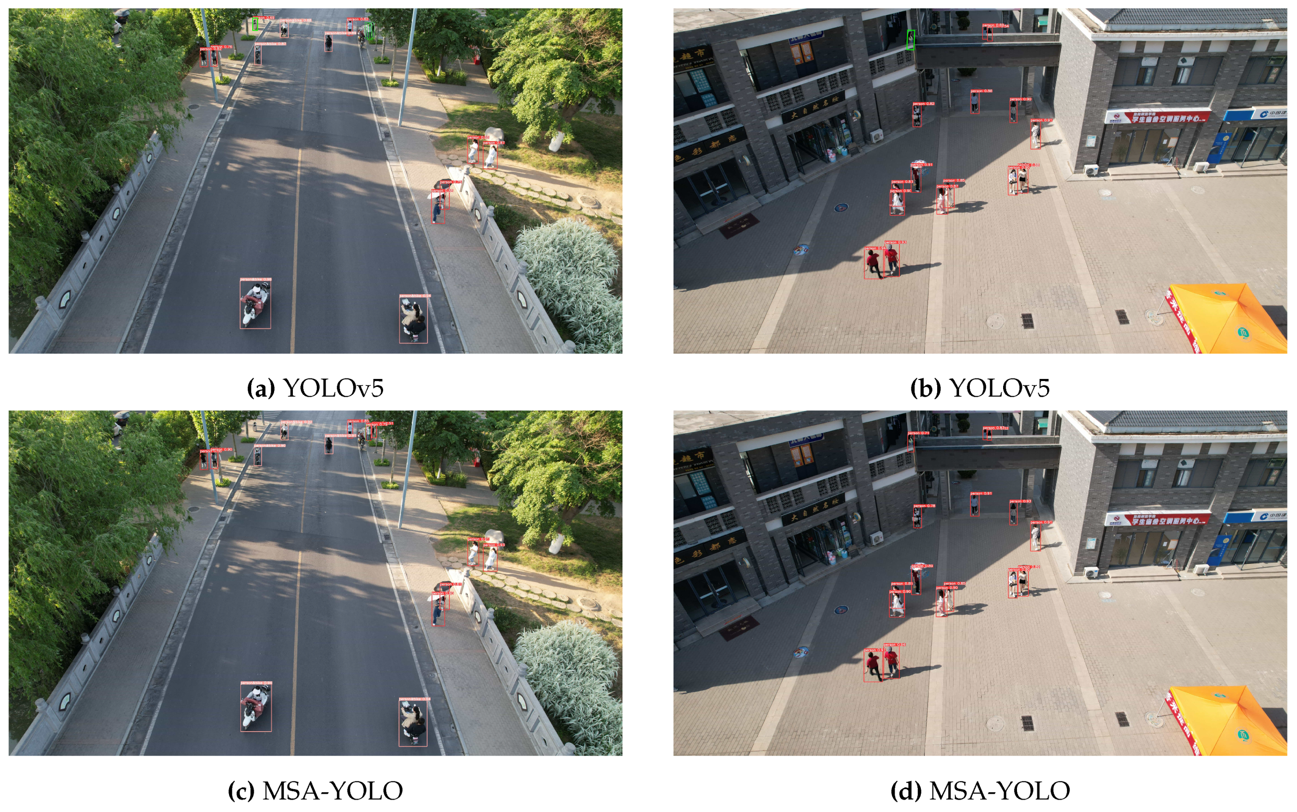 Preprints 96825 g006