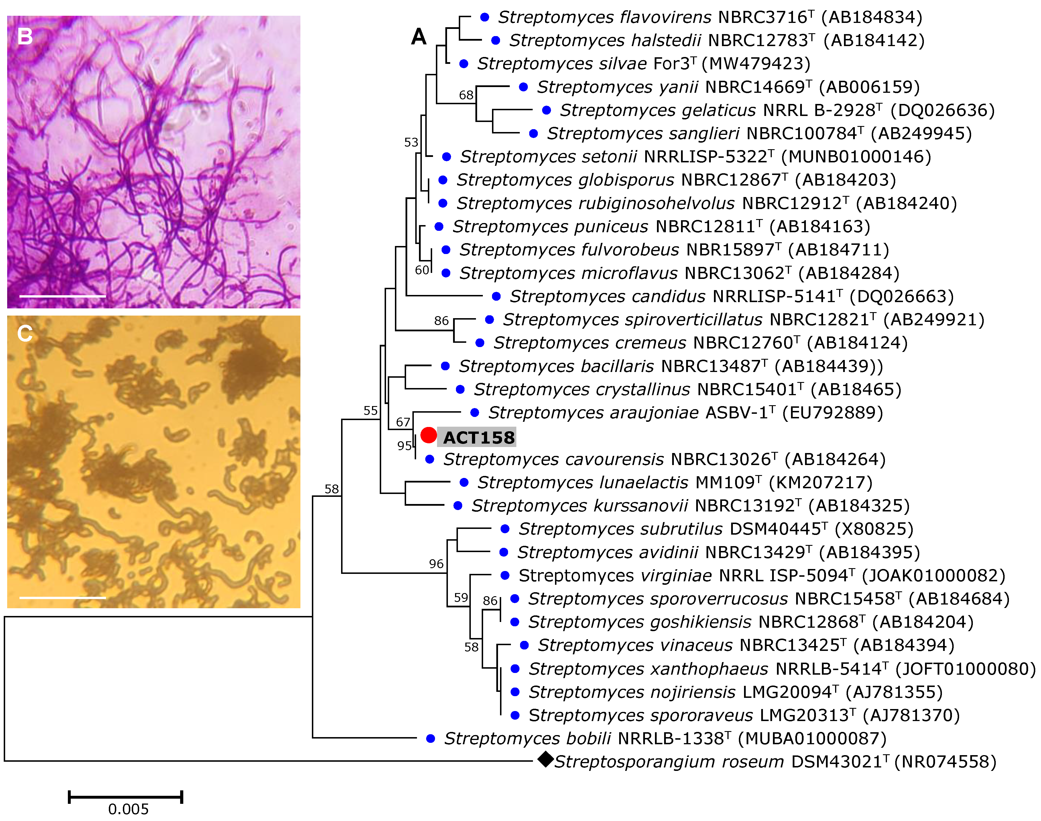 Preprints 147711 g001