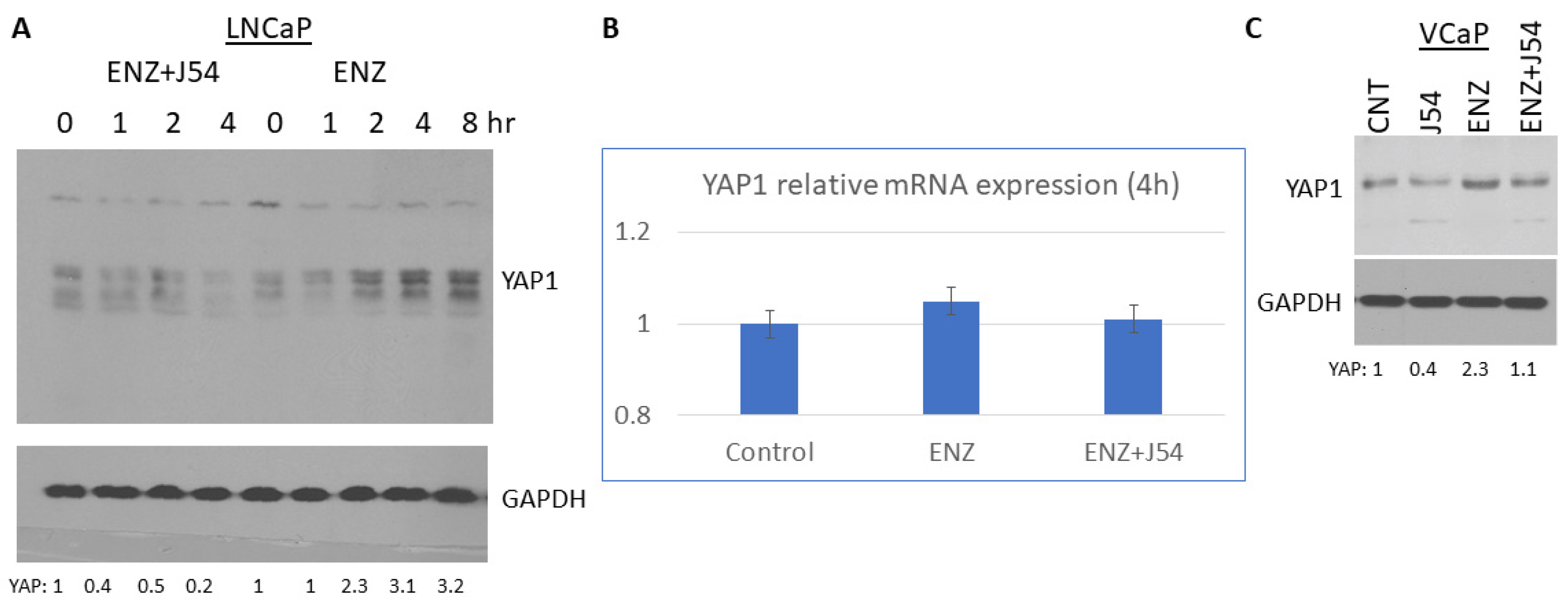 Preprints 112795 g001
