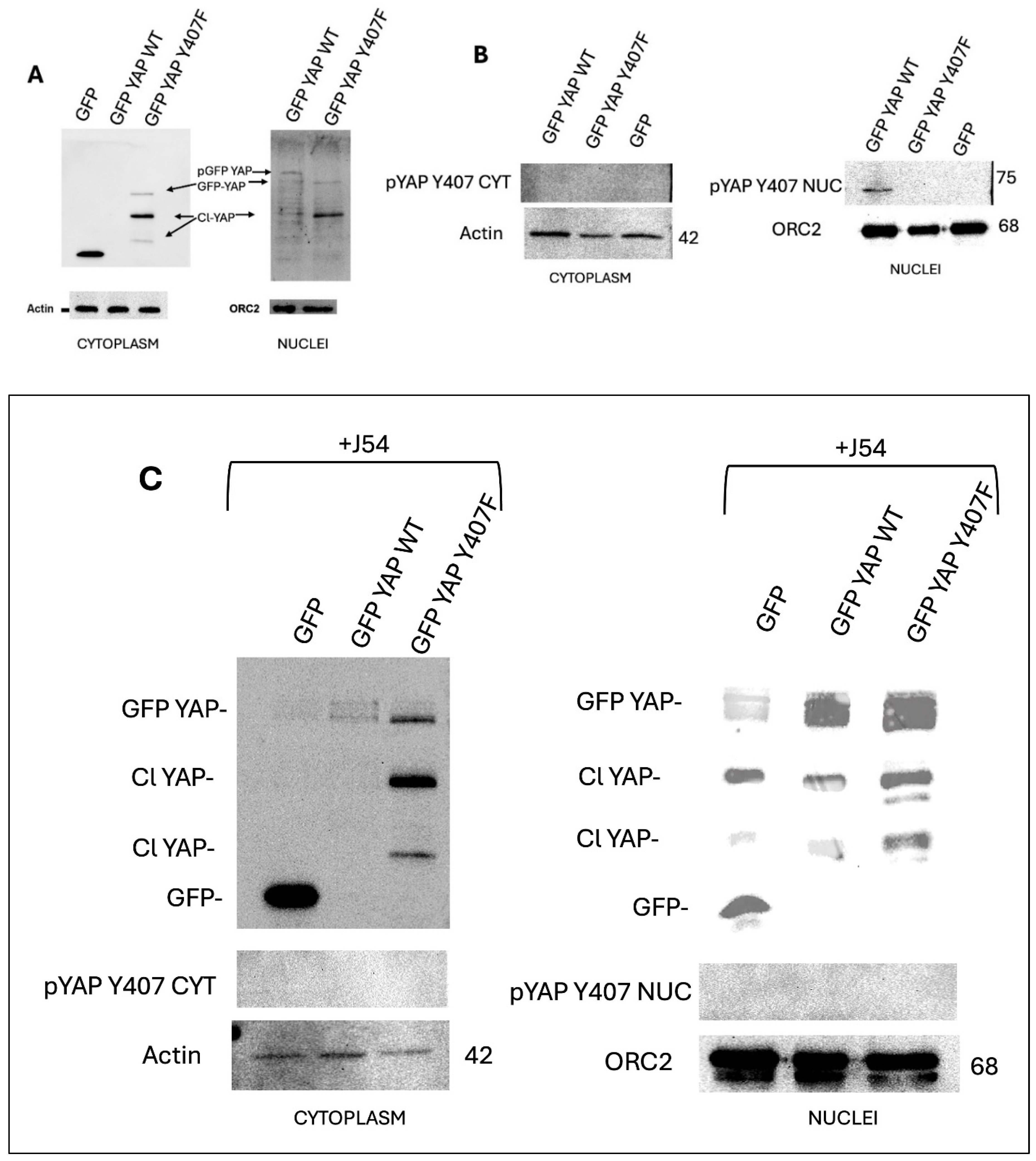 Preprints 112795 g003