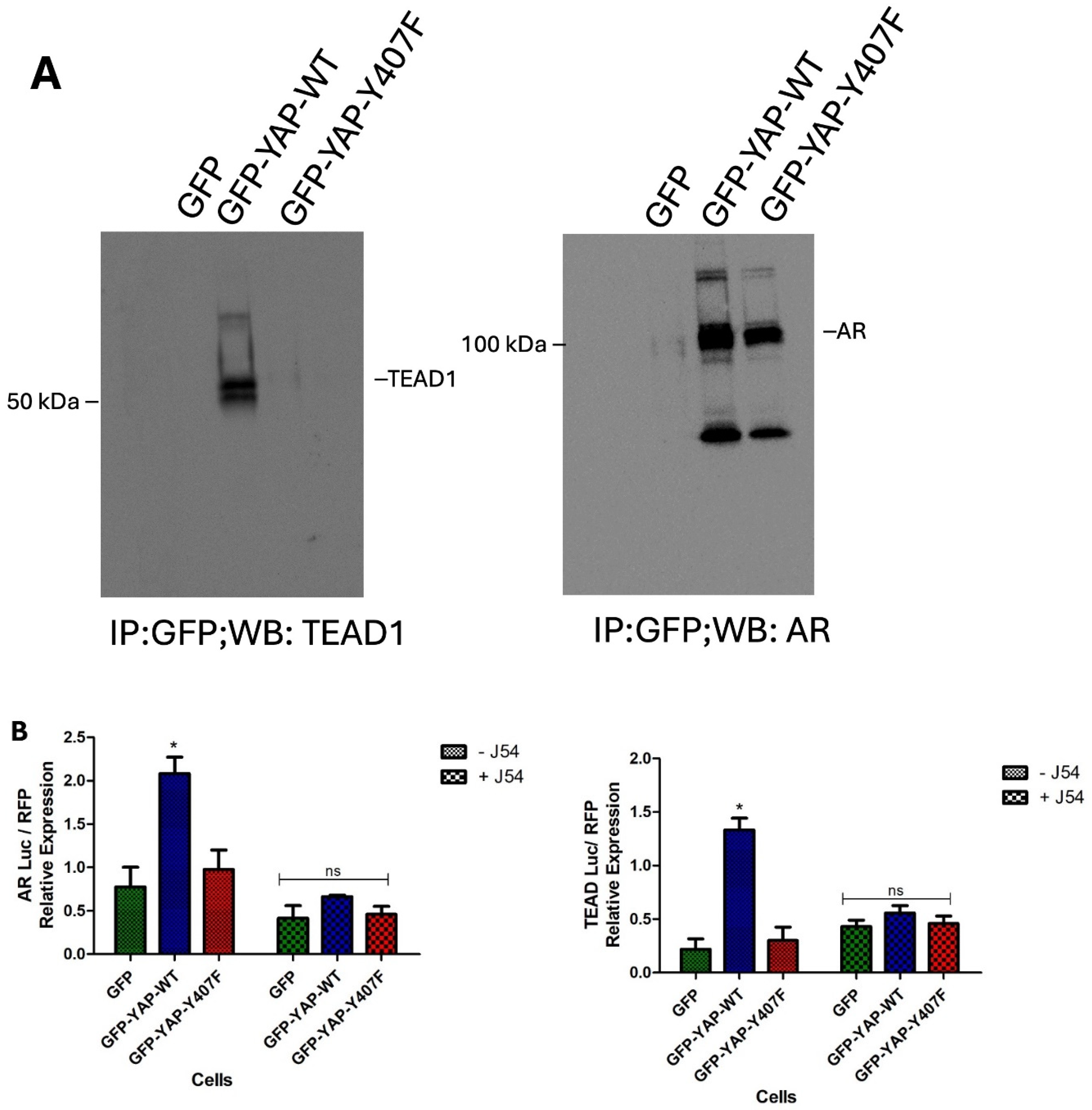 Preprints 112795 g004a