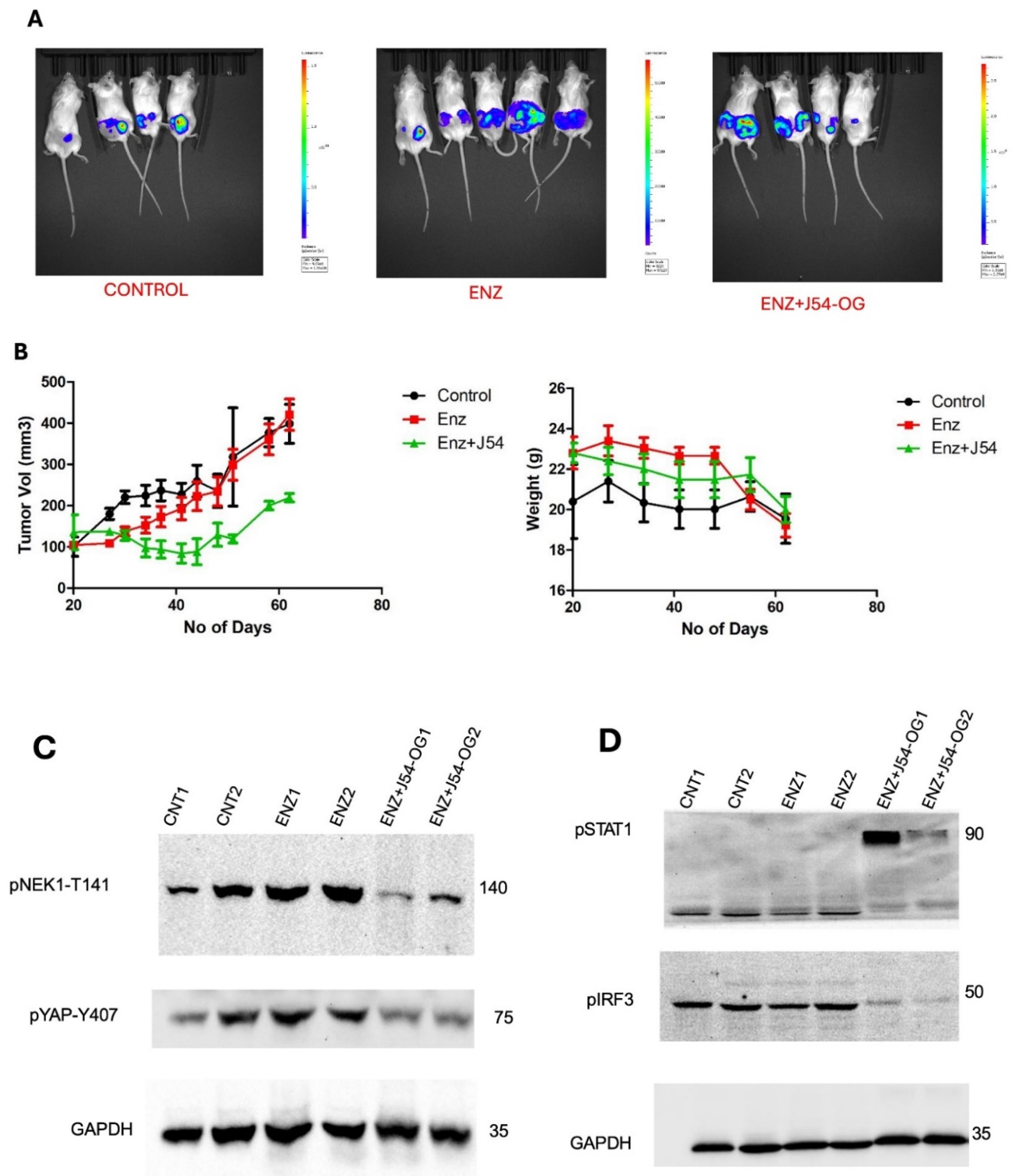 Preprints 112795 g006a