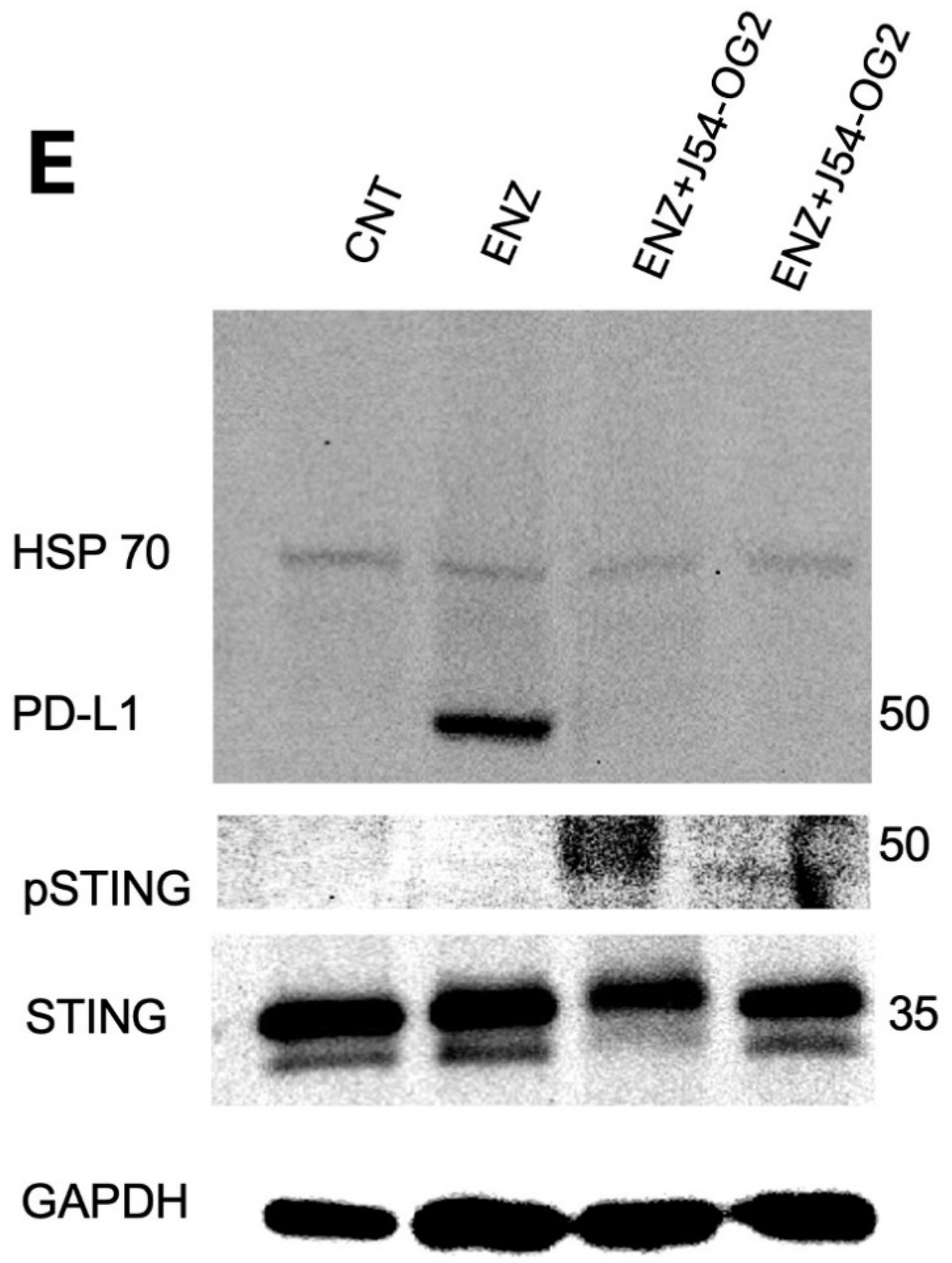 Preprints 112795 g006b