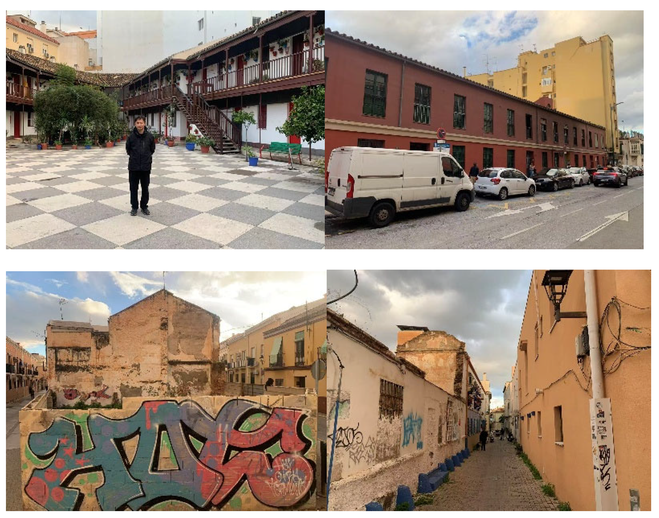 Preprints 206725 g013