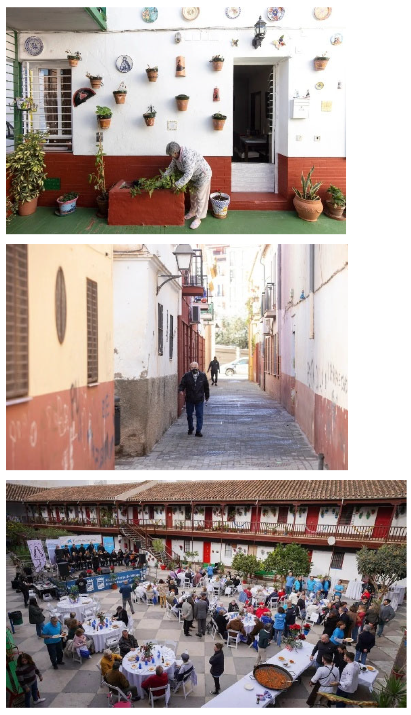 Preprints 206725 g015