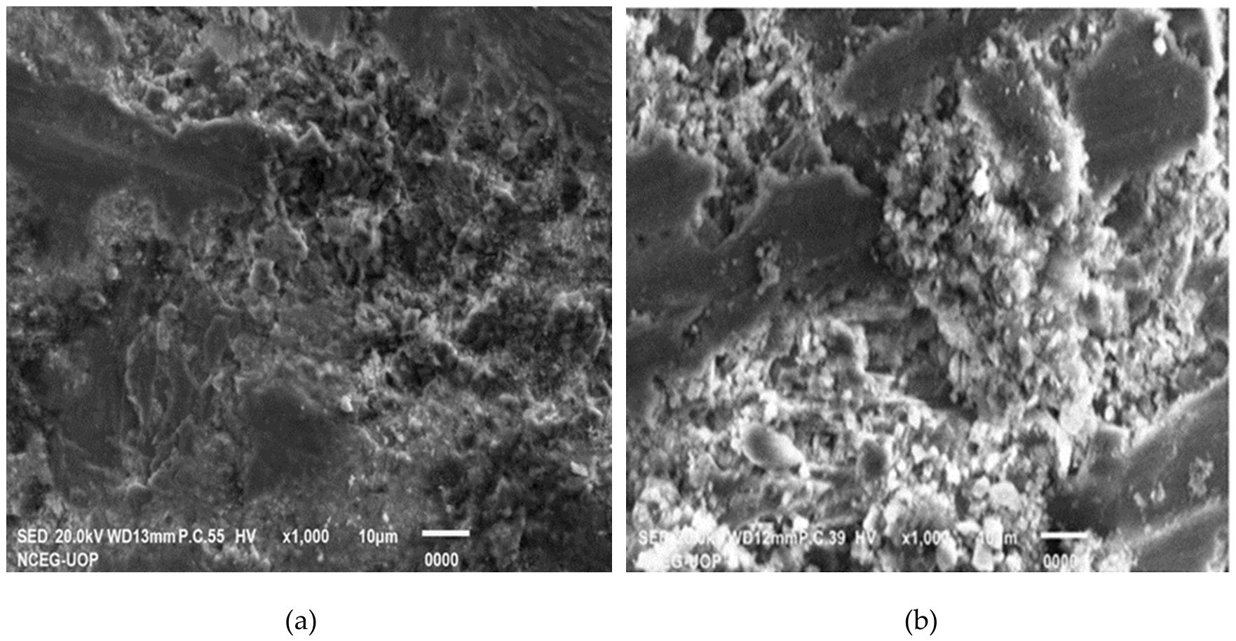 Preprints 217305 g009a
