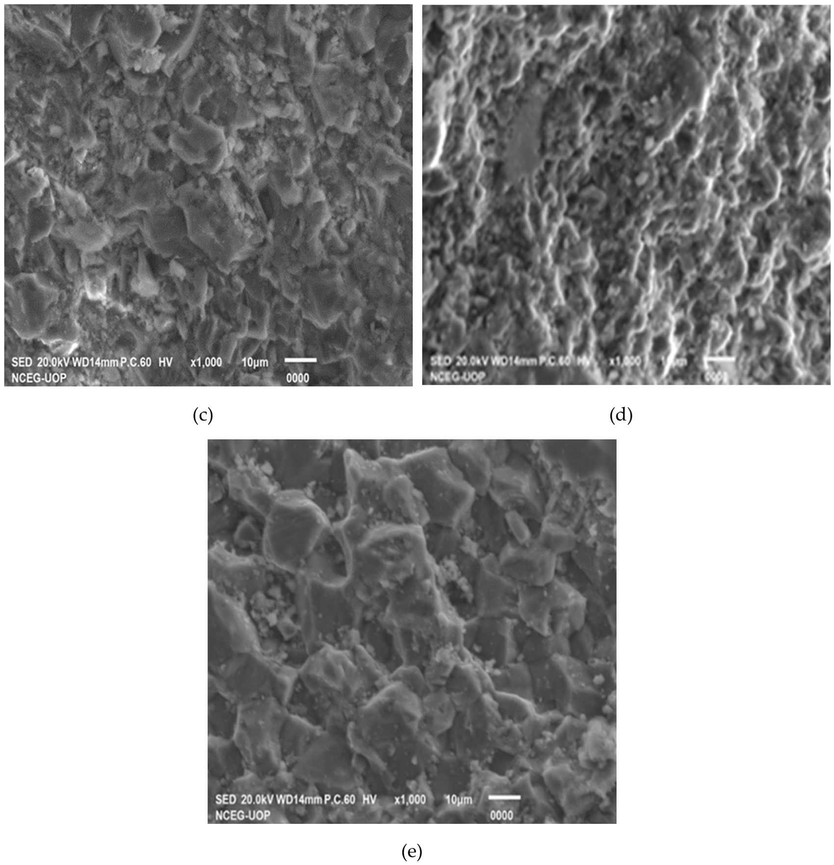 Preprints 217305 g009b
